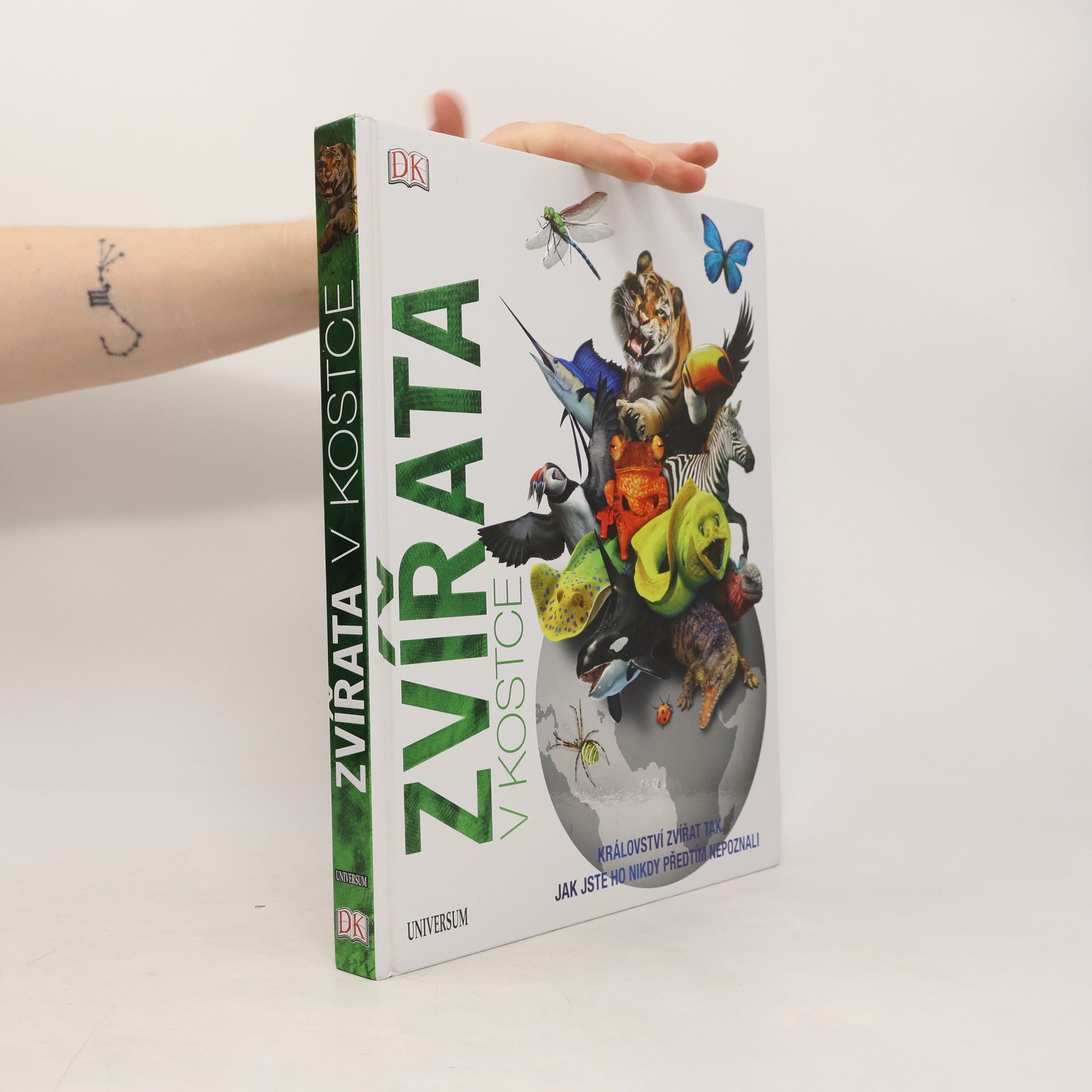 Collective Zvířata v kostce
