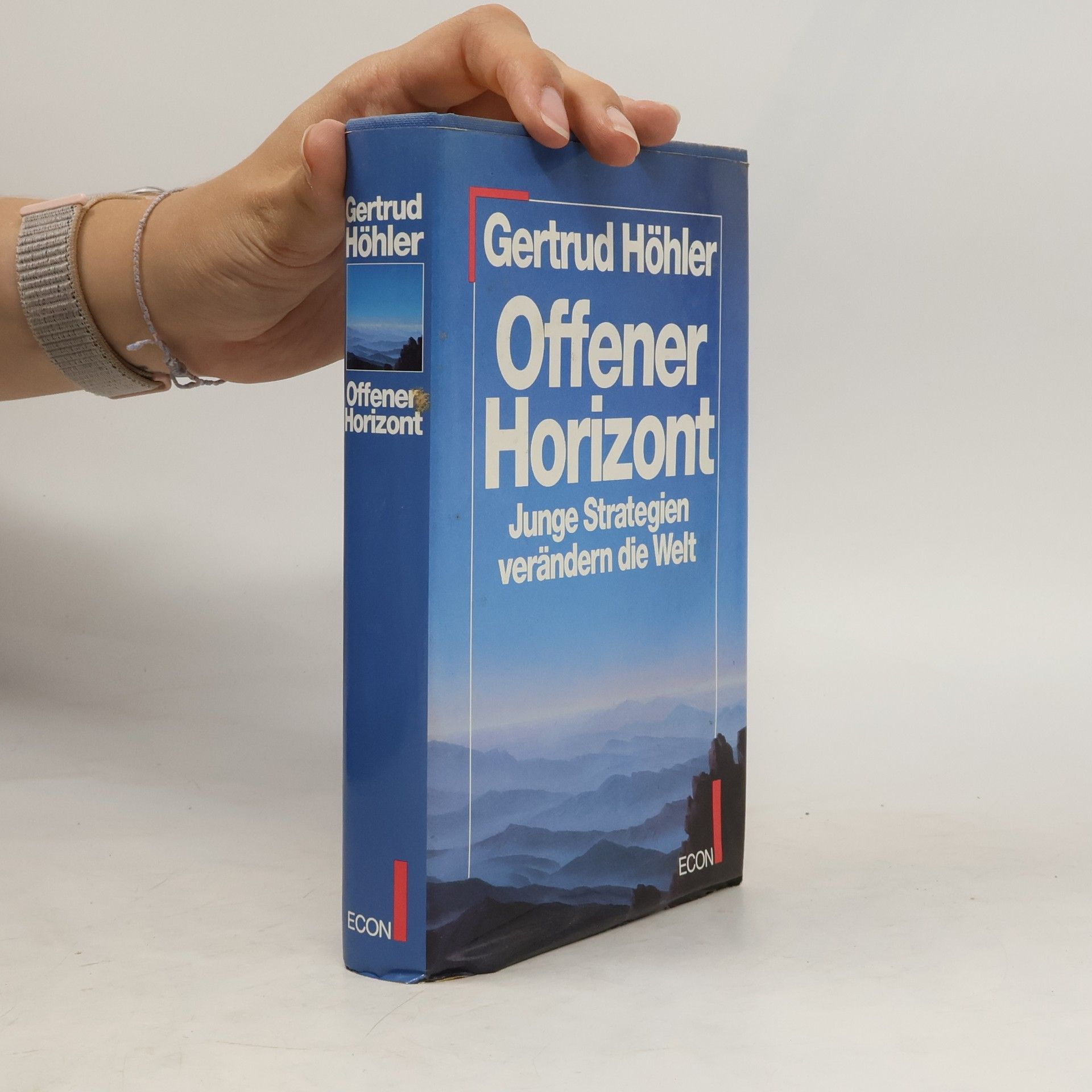 Gertrud Höhler Offener Horizont