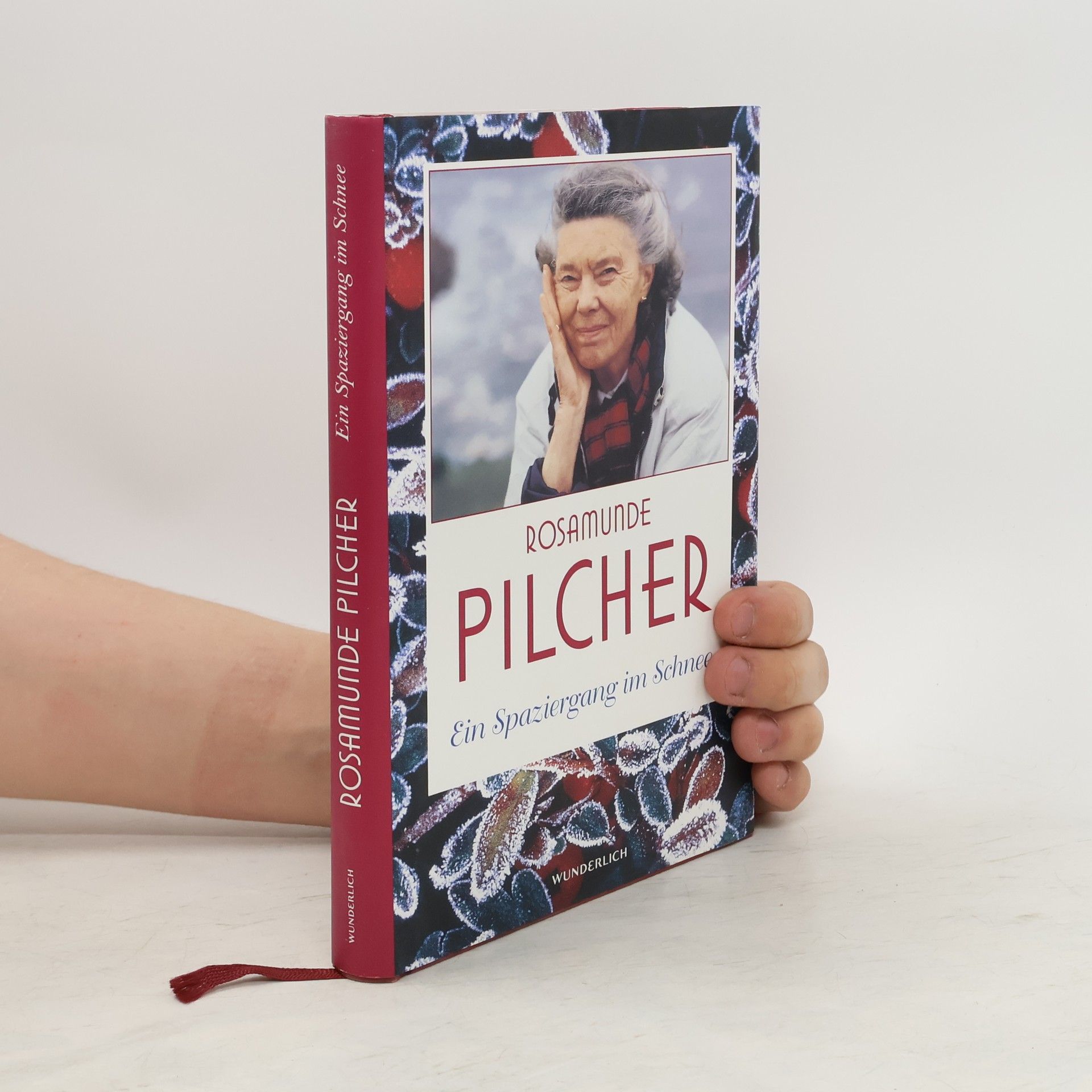 Rosamunde Pilcher Ein Spaziergang im Schnee