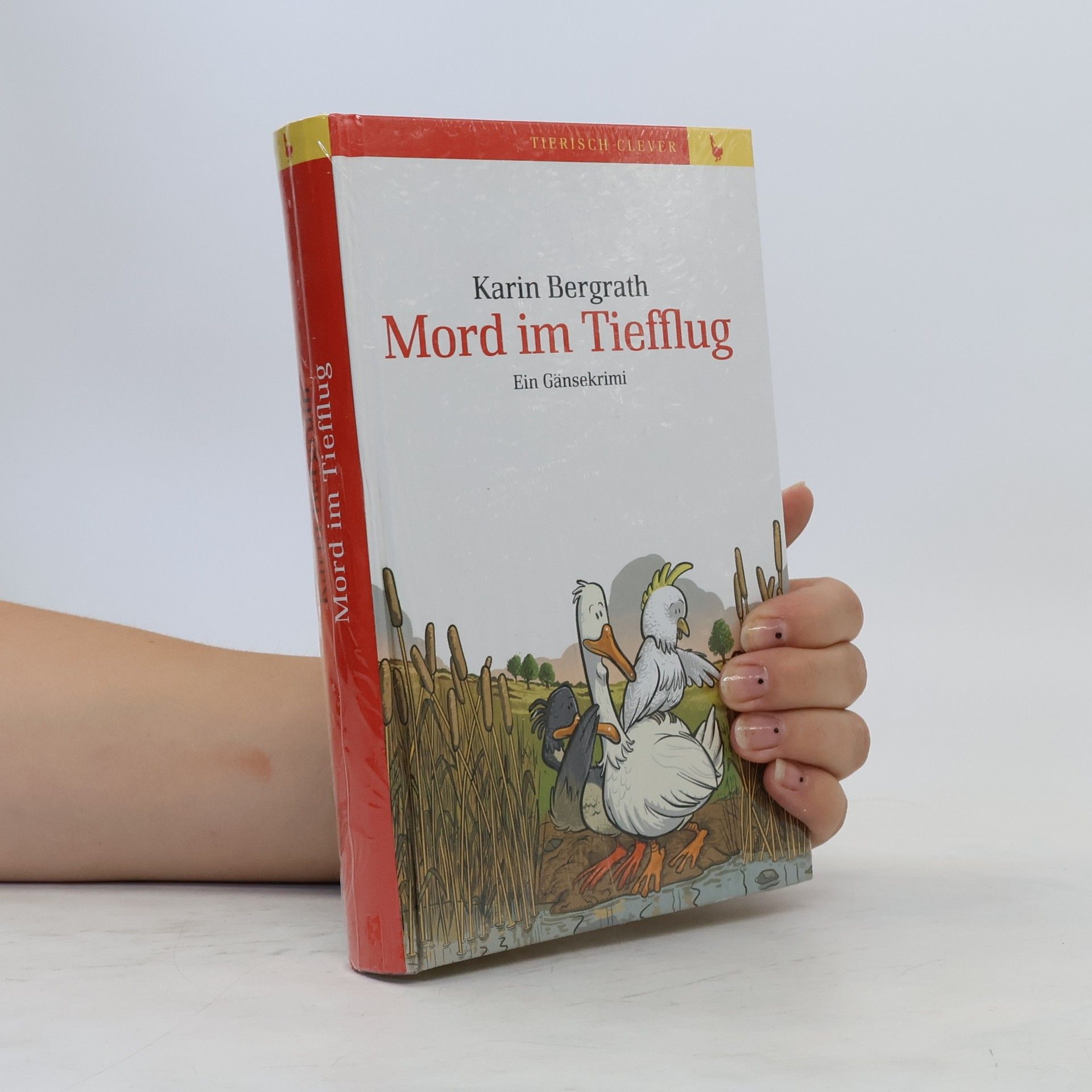 Karin Bergrath Mord im Tiefflug