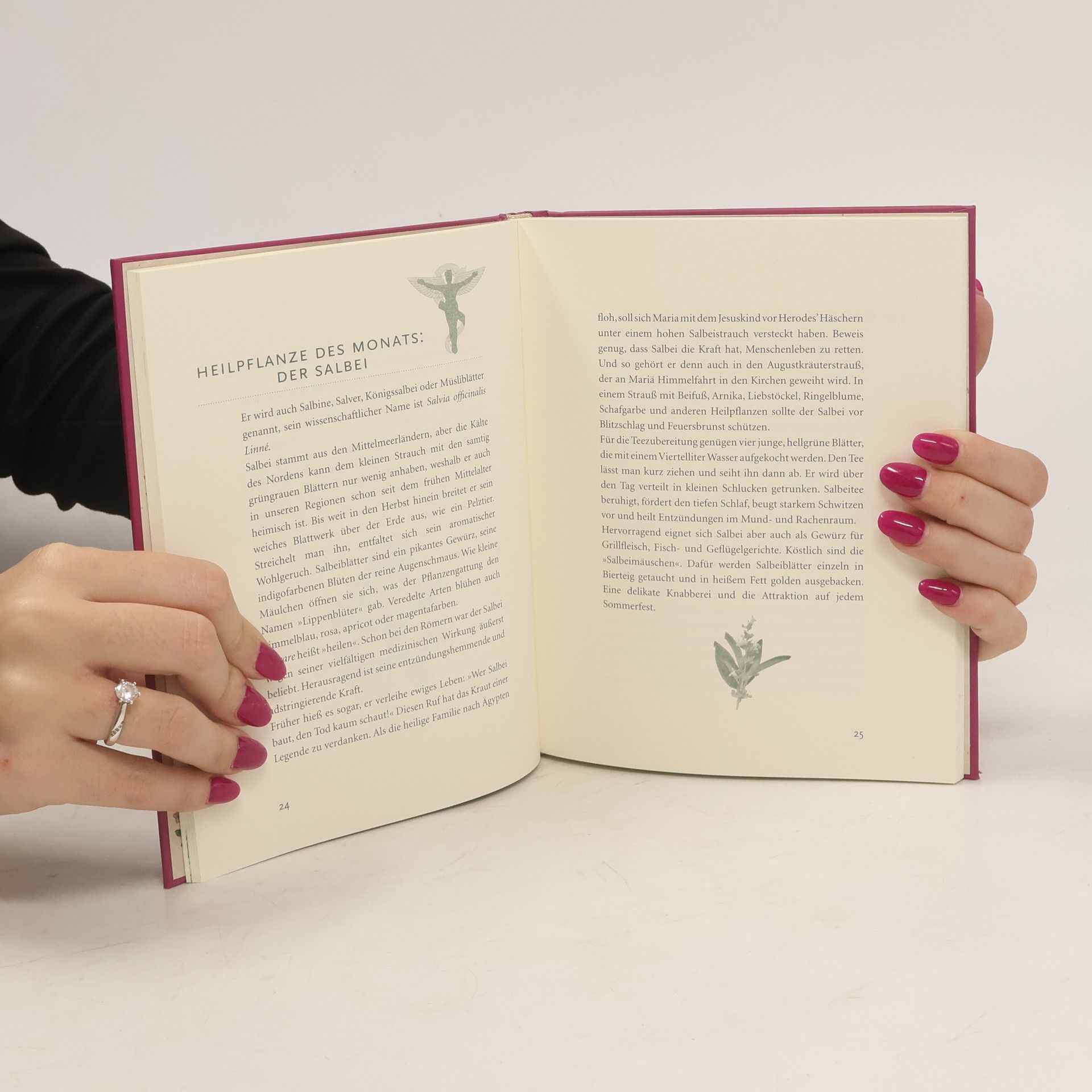 Autorenkollektiv Das Buch vom warmen August