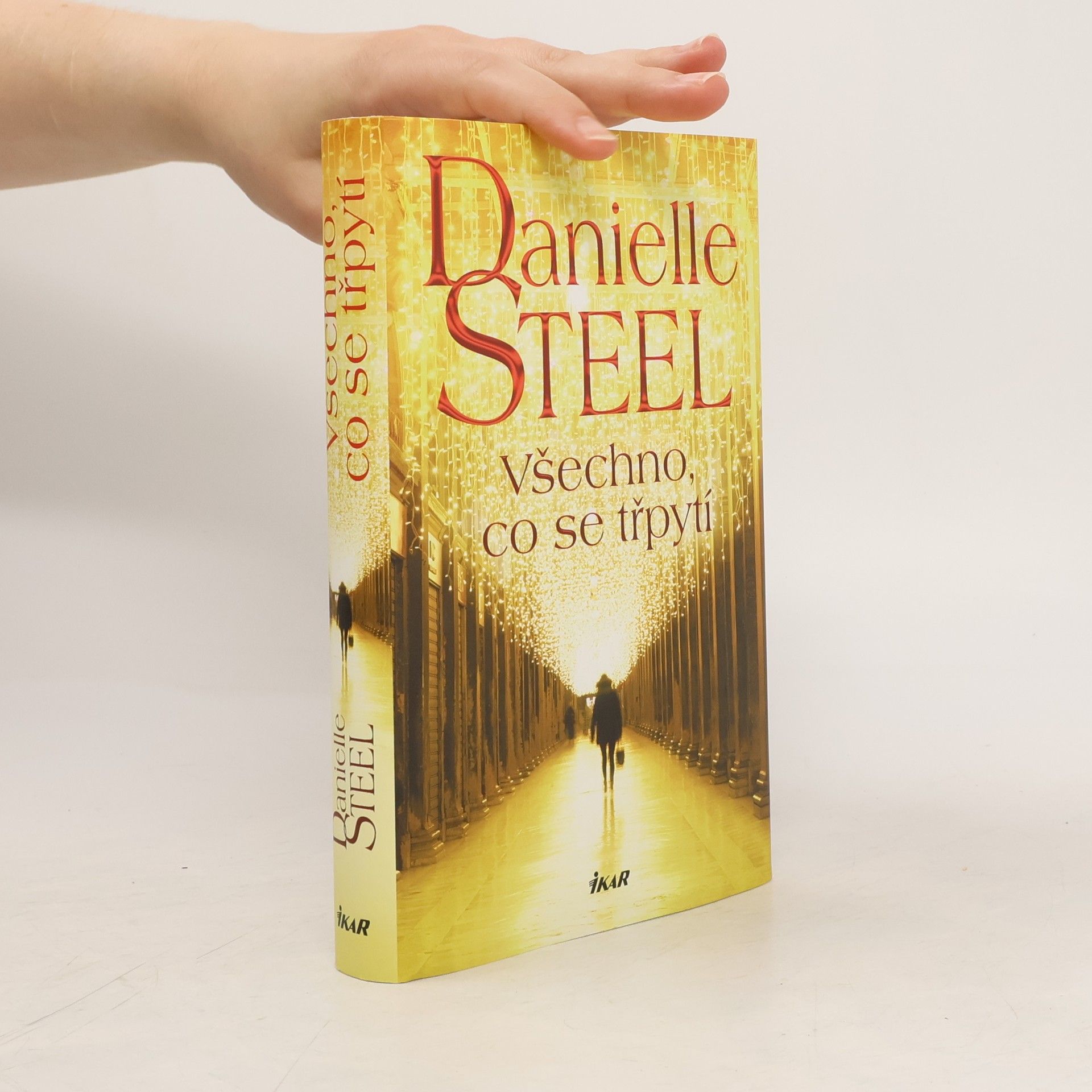 Danielle Steel Všechno, co se třpytí