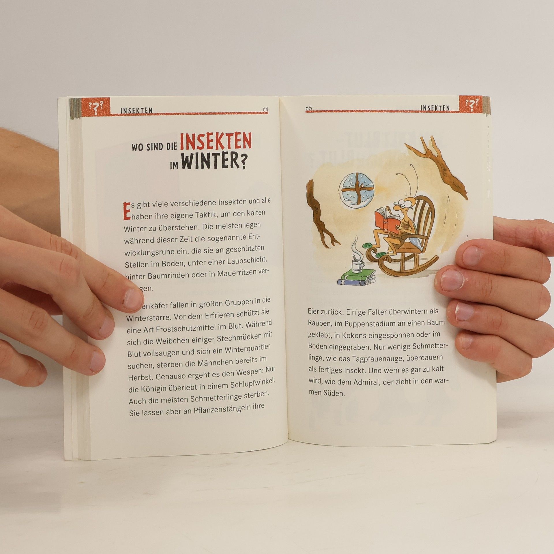 Various authors Der Kinder Brockhaus. Können Fische seekrank werden?