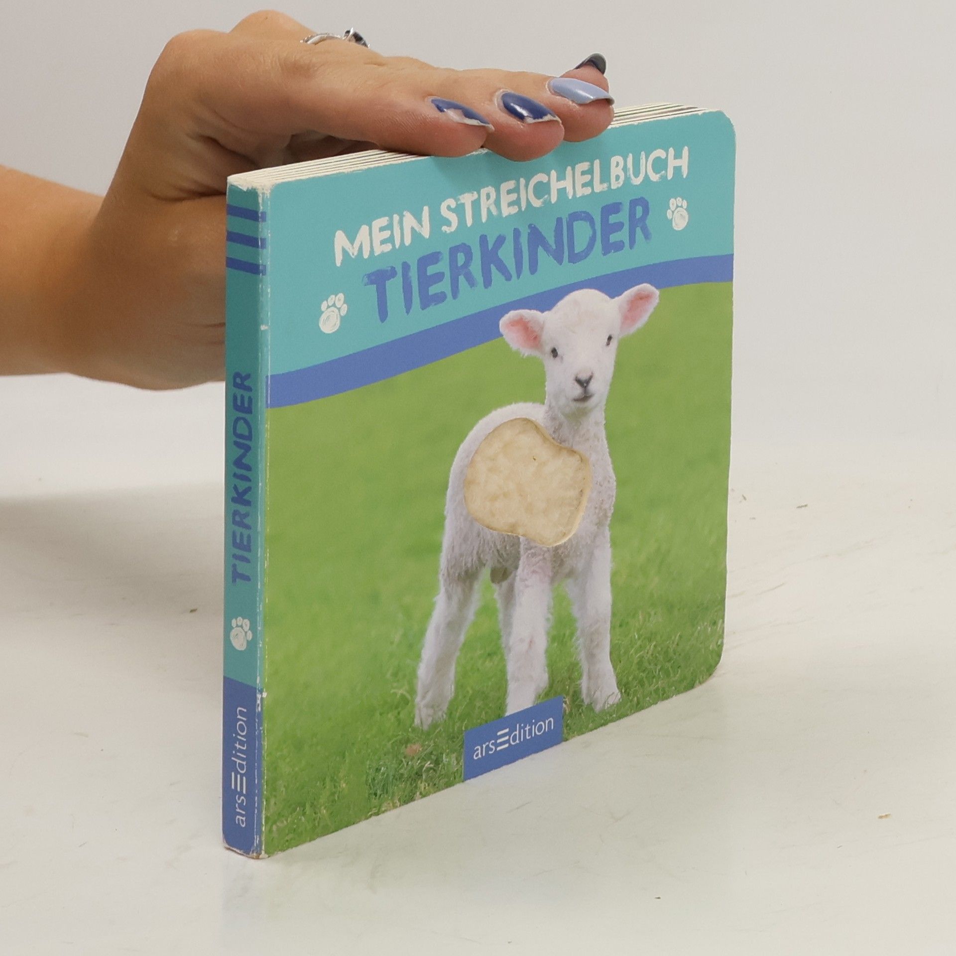 Autorenkollektiv Mein Streichelbuch - Tierkinder