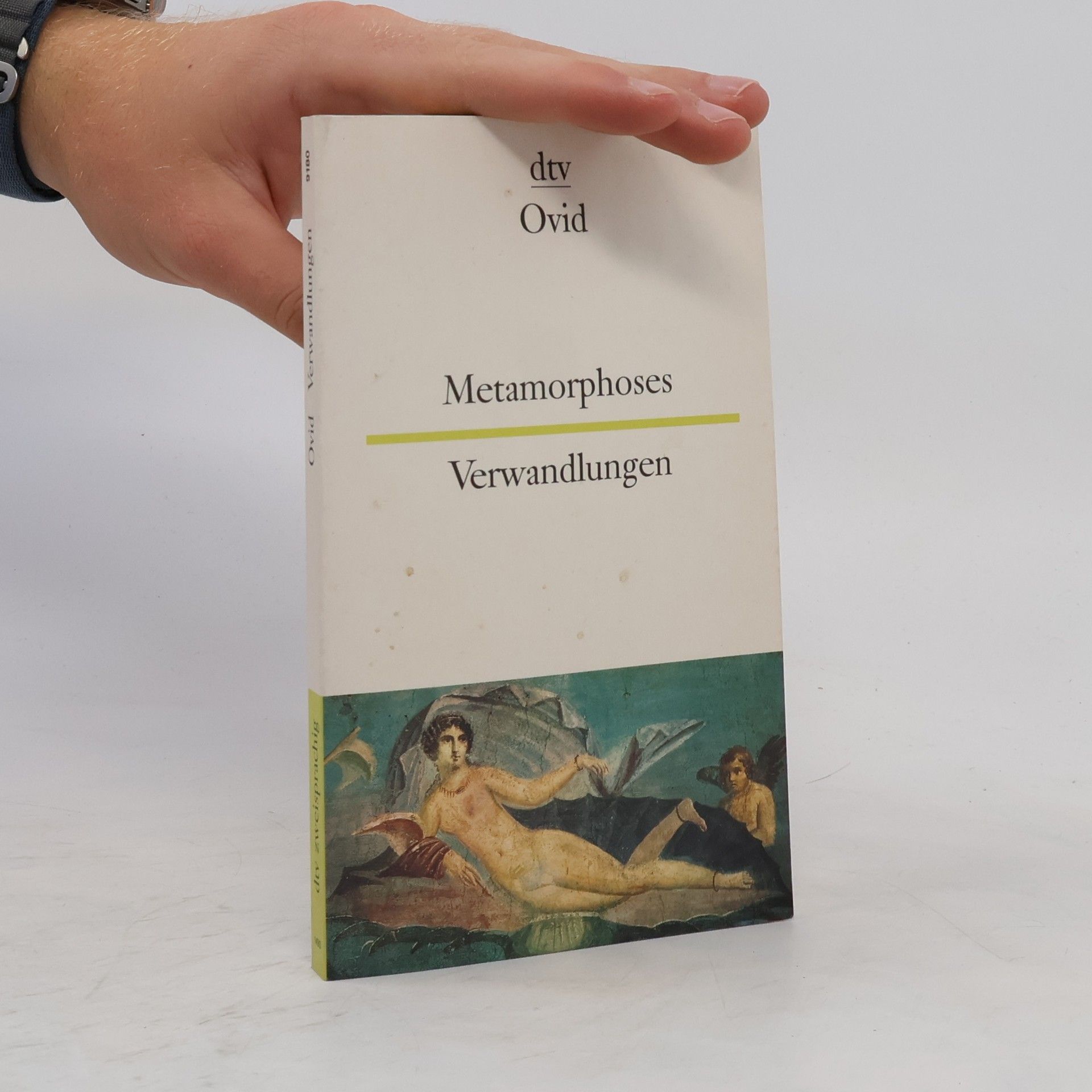 Ovid Metamorphoses