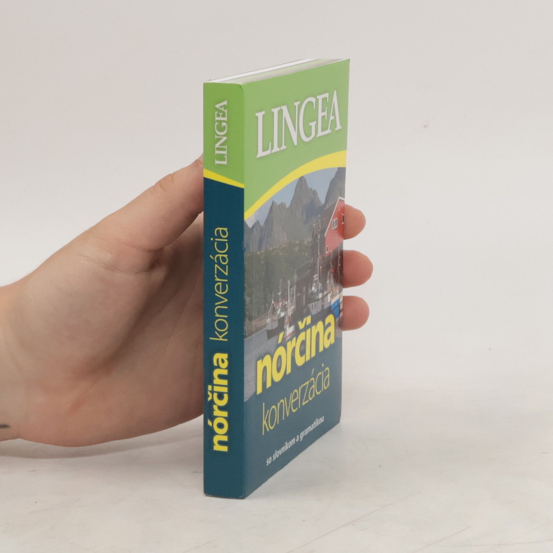 Autorenkollektiv Nórčina. Konverzácia so slovníkom a gramatikou