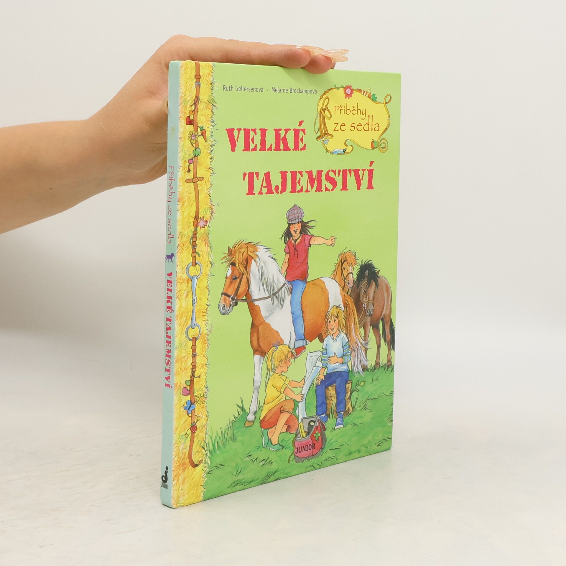 Ruth Gellersen Příběhy ze sedla. Velké tajemství