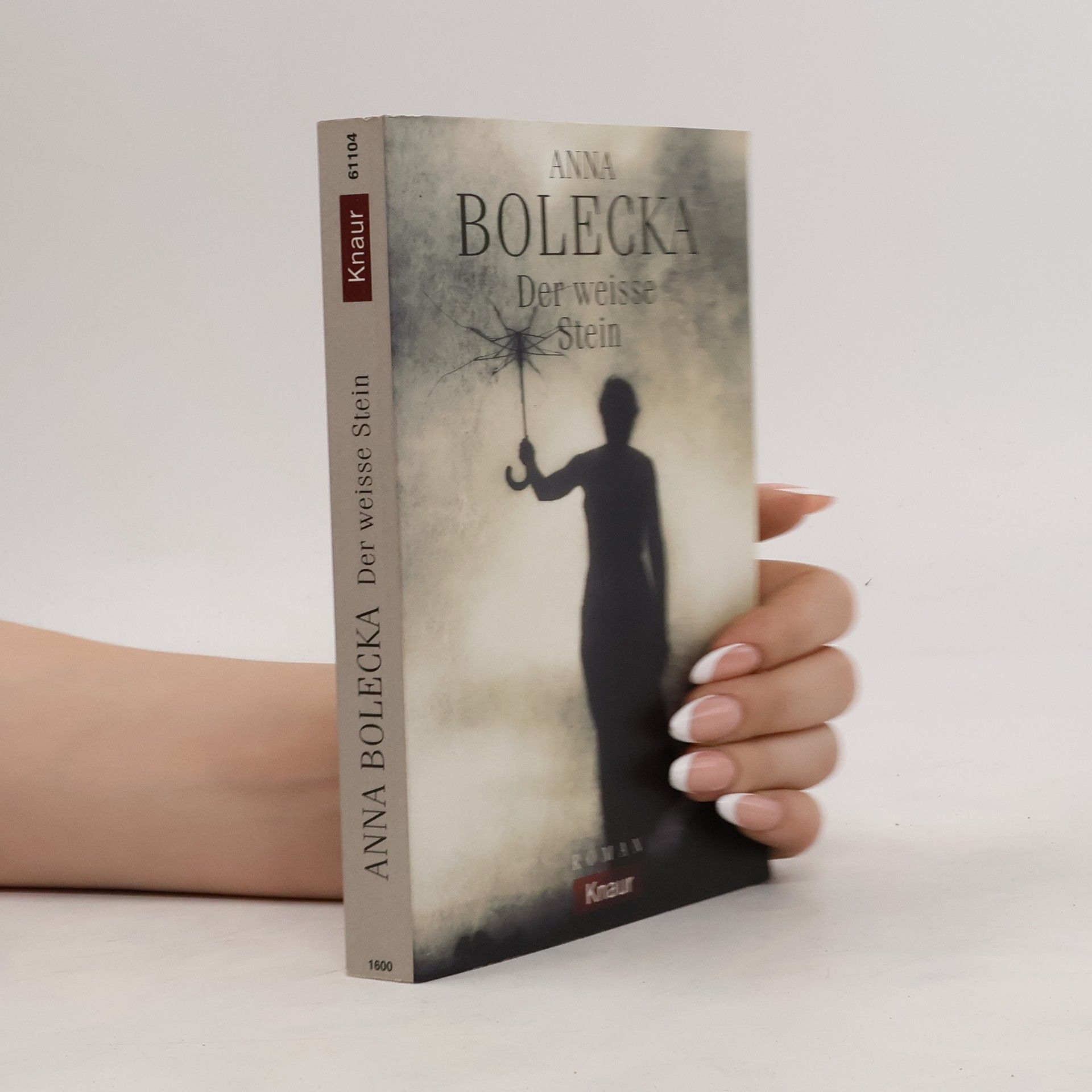 Anna Bolecka Der weiße Stein