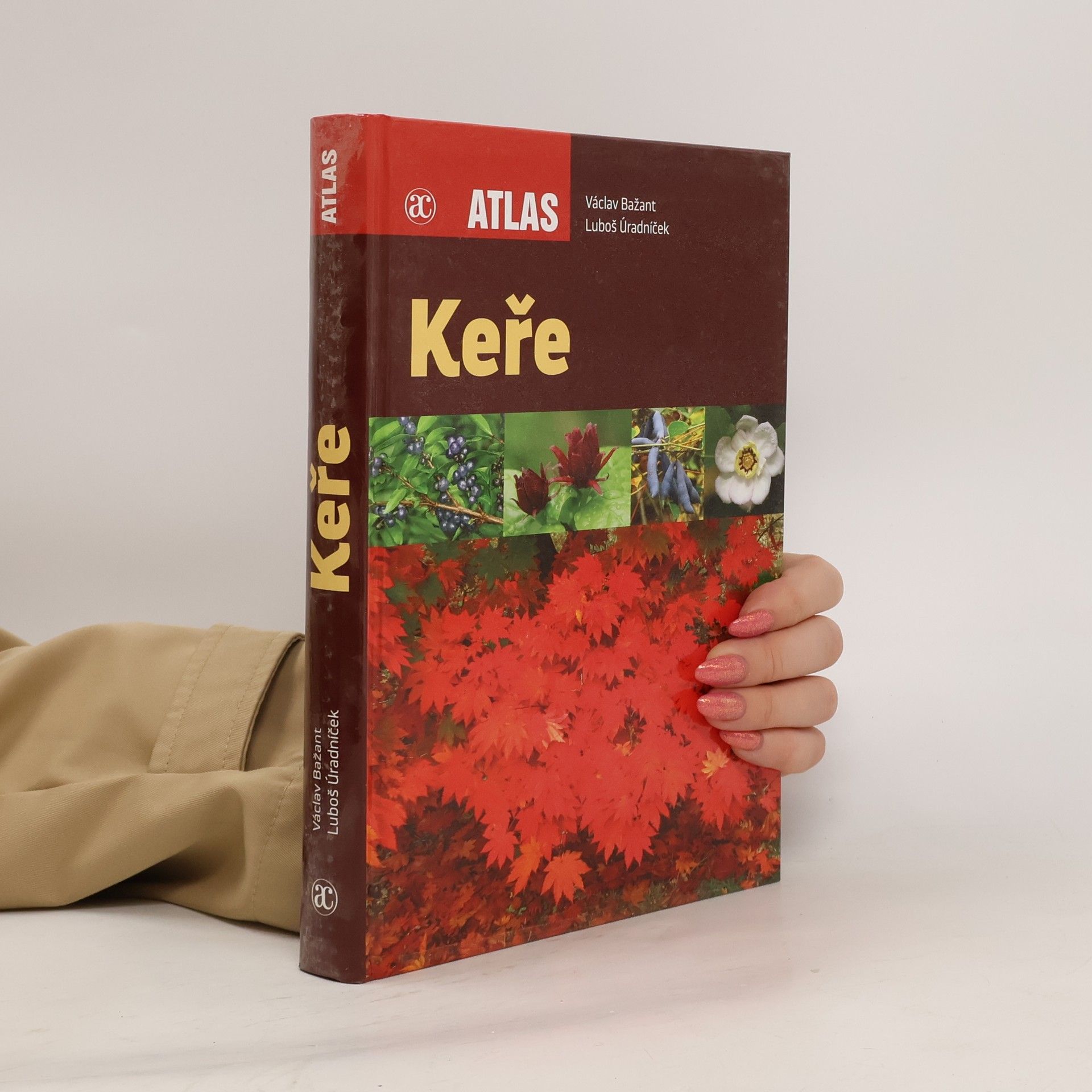 Luboš Úradníček Keře
