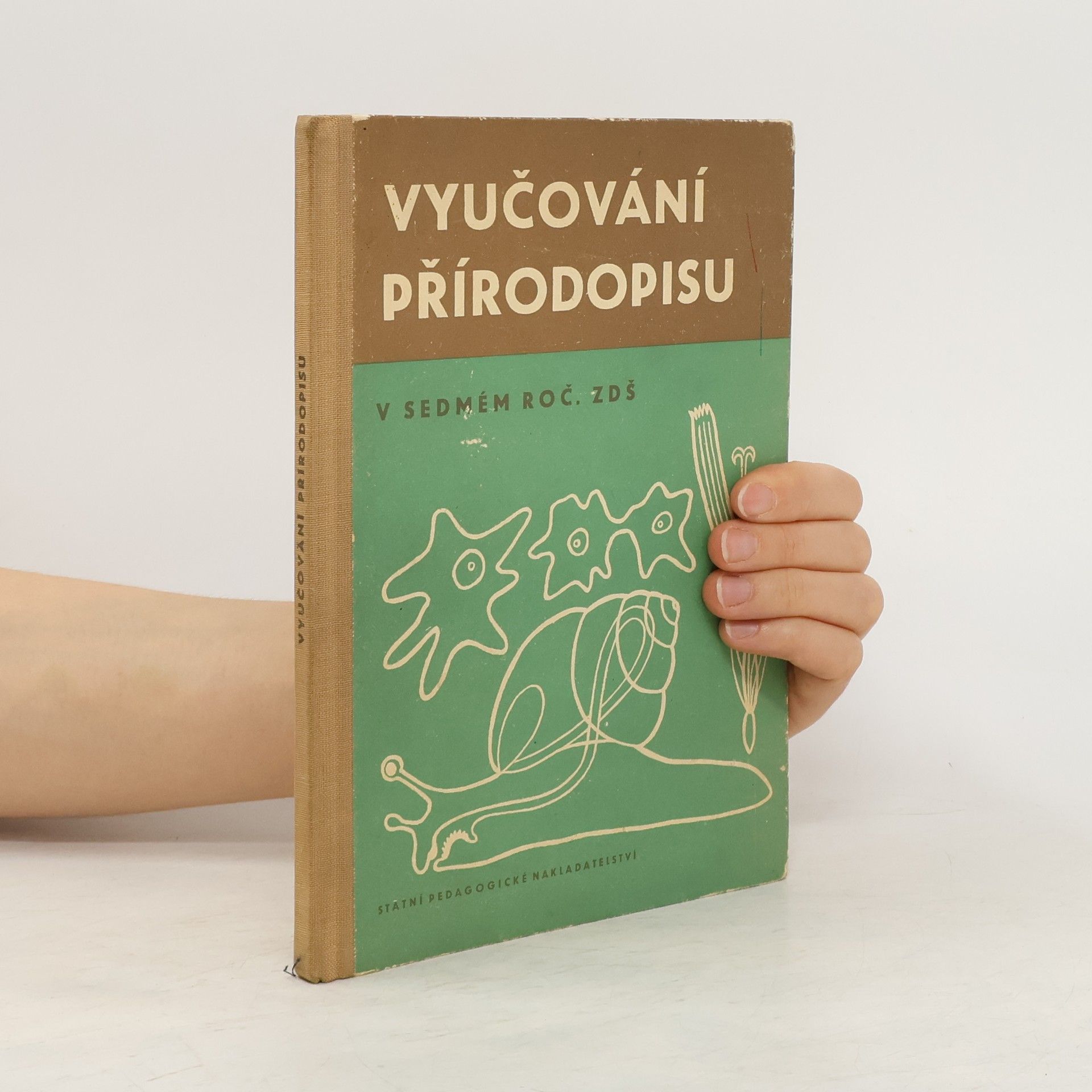Alfons Junger Vyučování přírodopisu v 7. ročníku základní devítileté školy