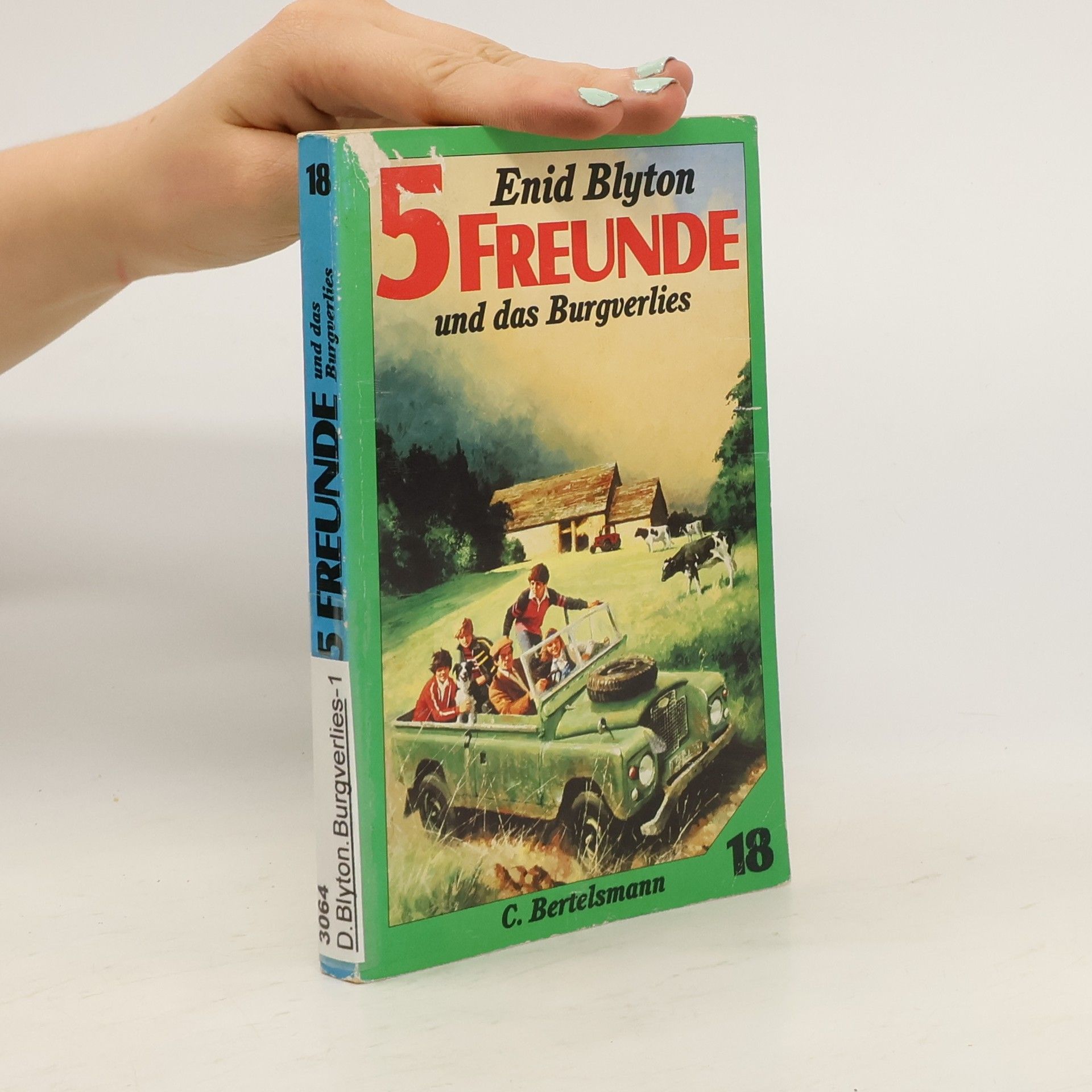 Enid Blyton Fünf Freunde und das Burgverlies