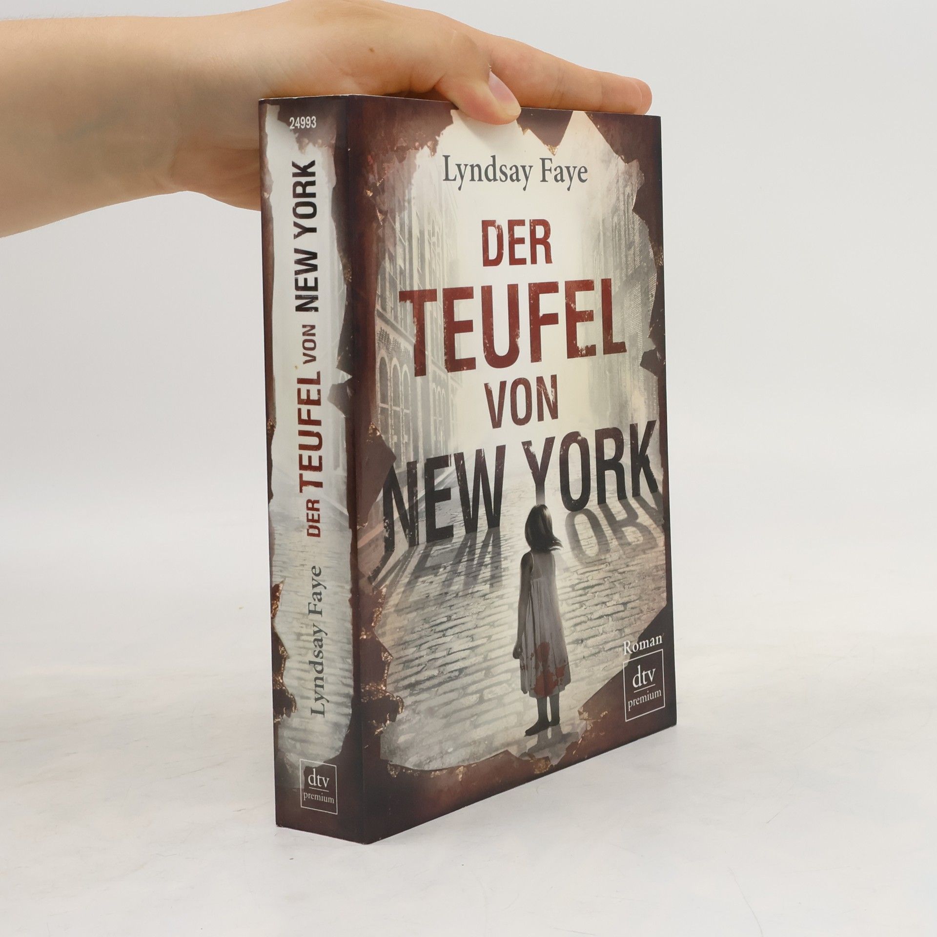Lyndsay Faye Der Teufel von New York