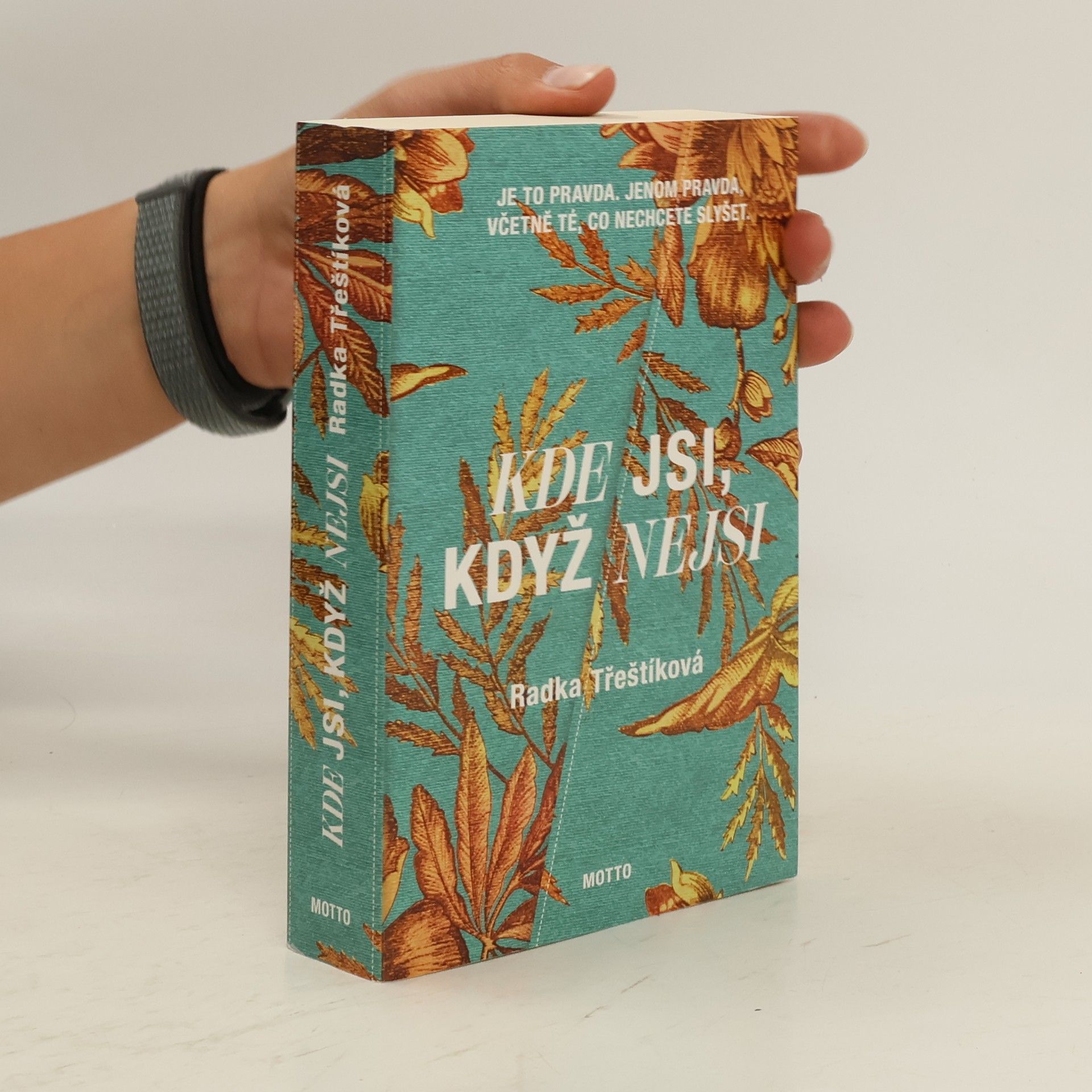 Radka Třeštíková Kde jsi, když nejsi