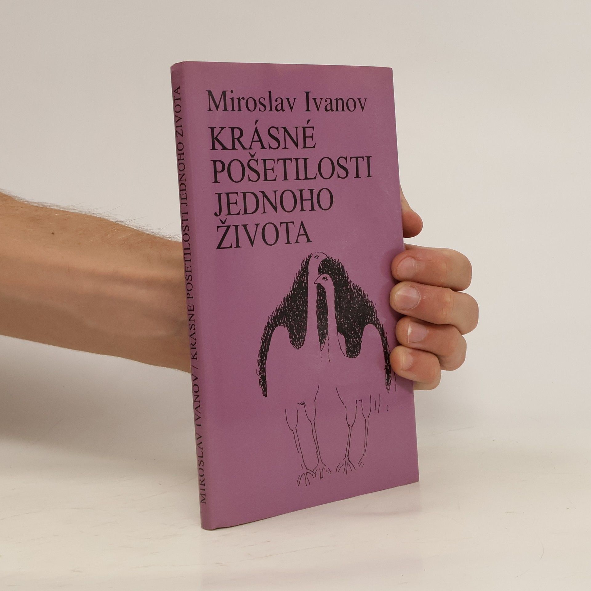 Miroslav Ivanov Krásné pošetilosti jednoho života