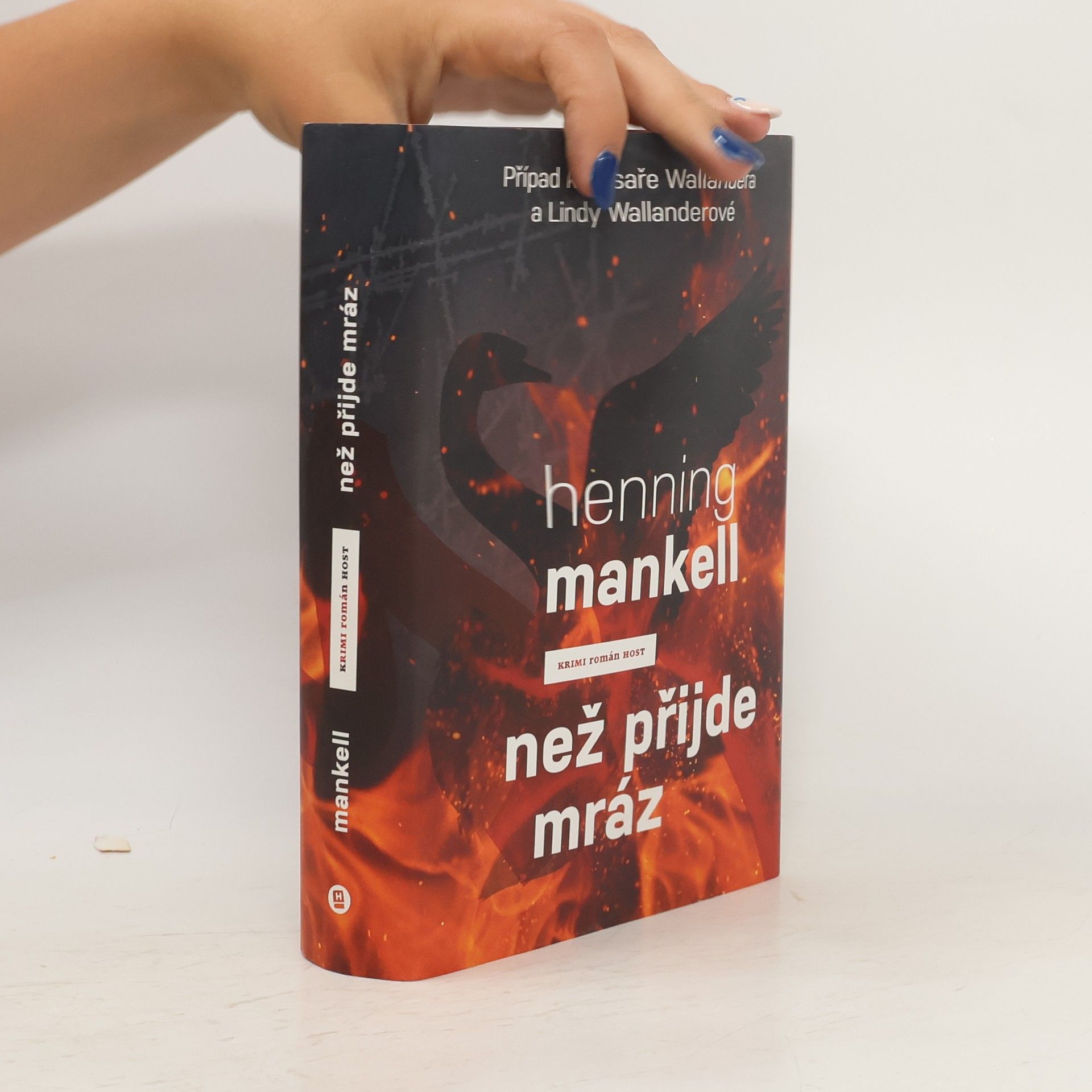 Henning Mankell Než přijde mráz