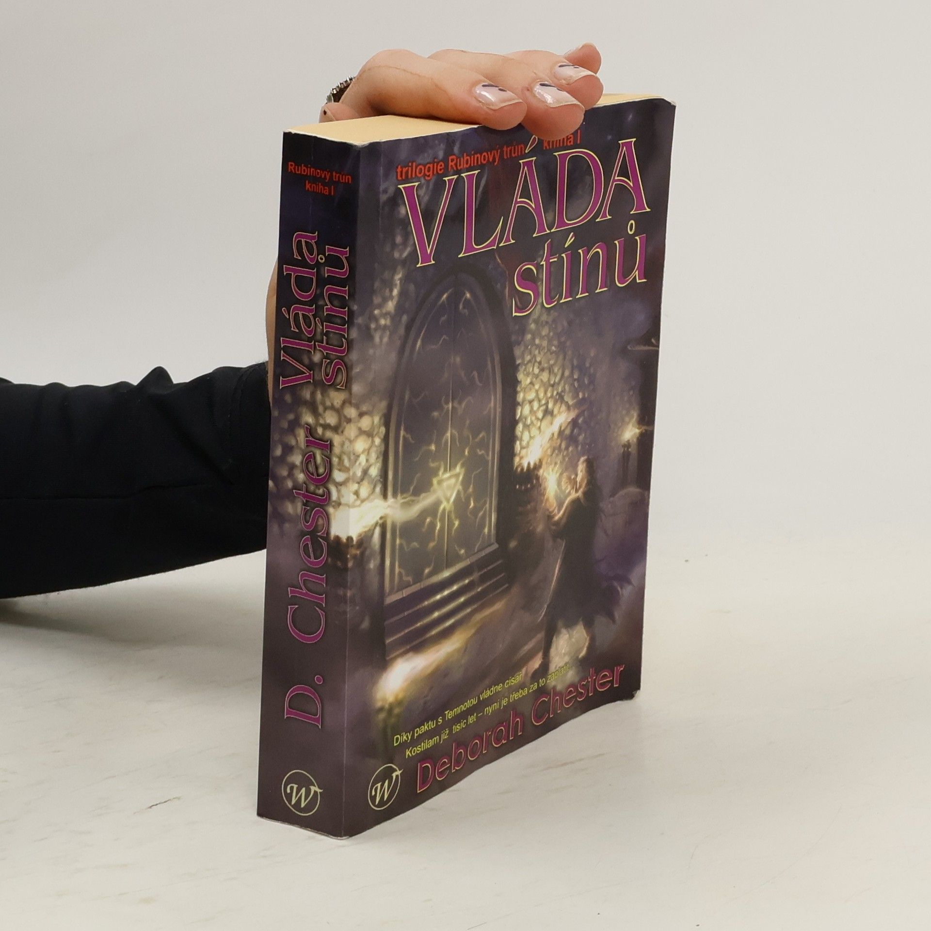 Deborah Chester Vláda stínů