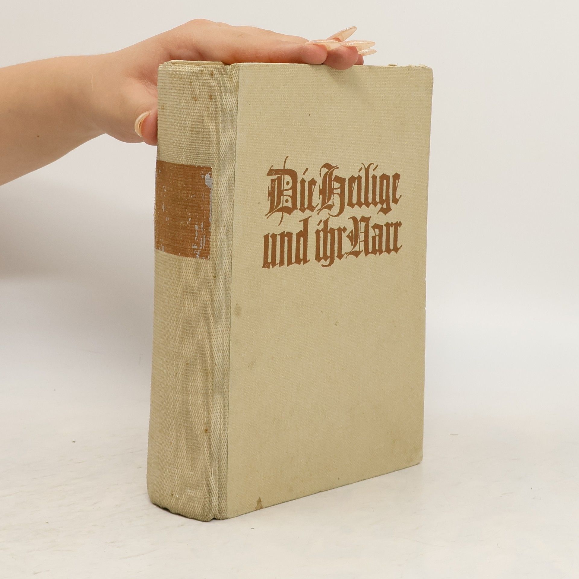 Agnes Günther Die heilige und ihr Narr 1.