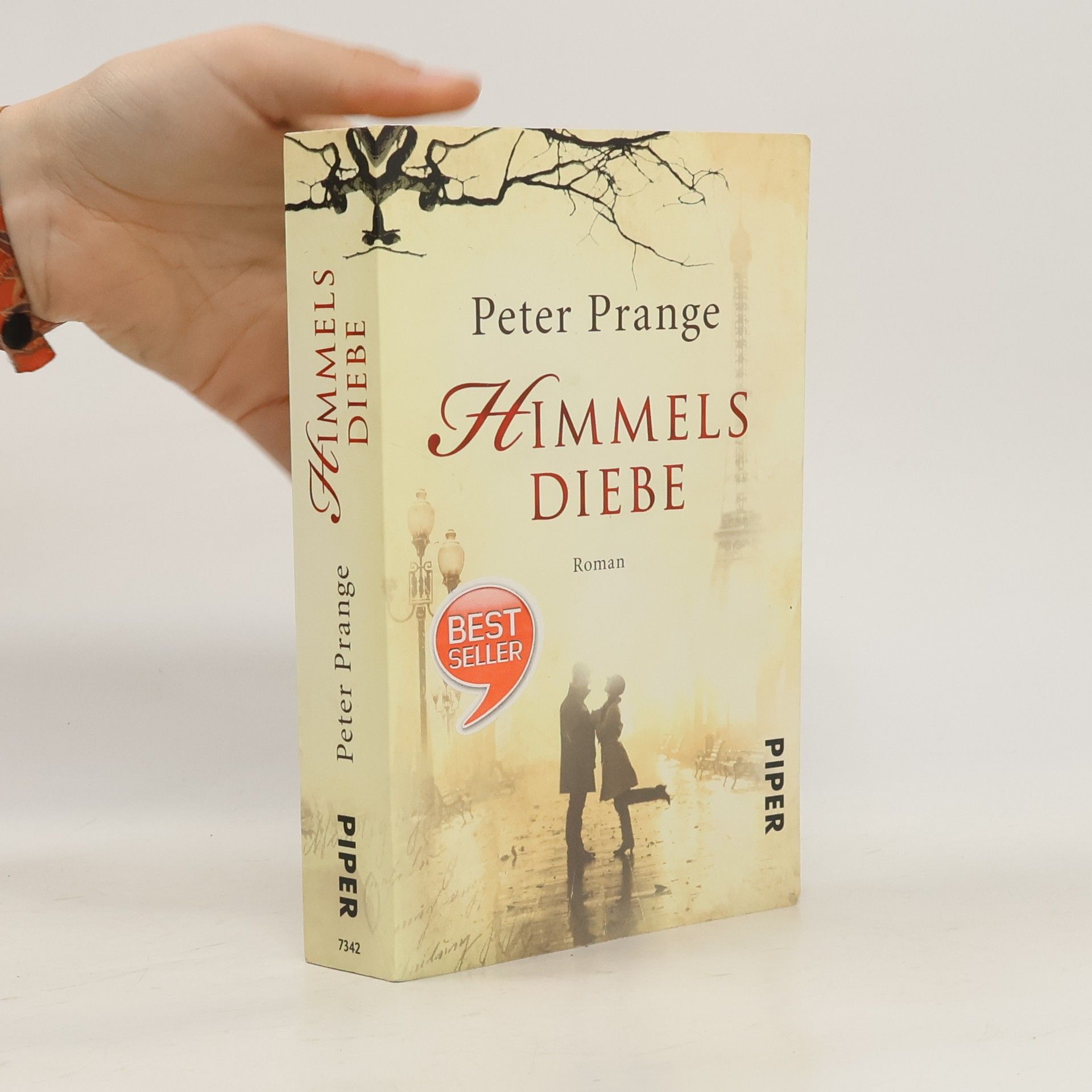 Peter Prange Himmels Diebe