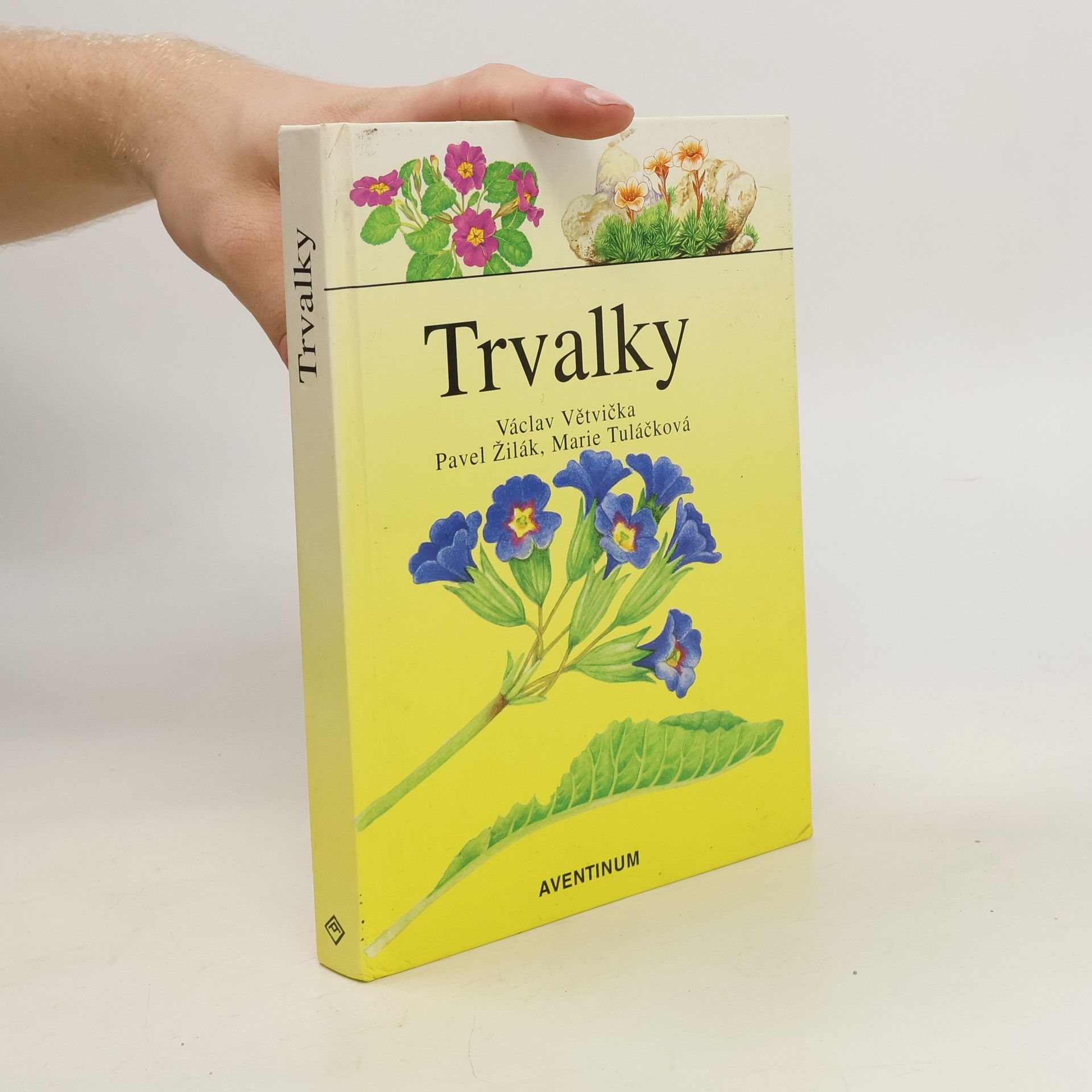 Václav Větvička Trvalky
