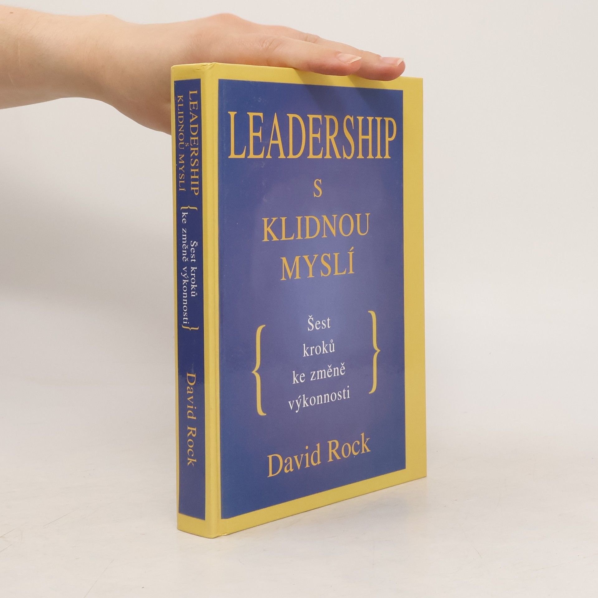 David Rock Leadership s klidnou myslí