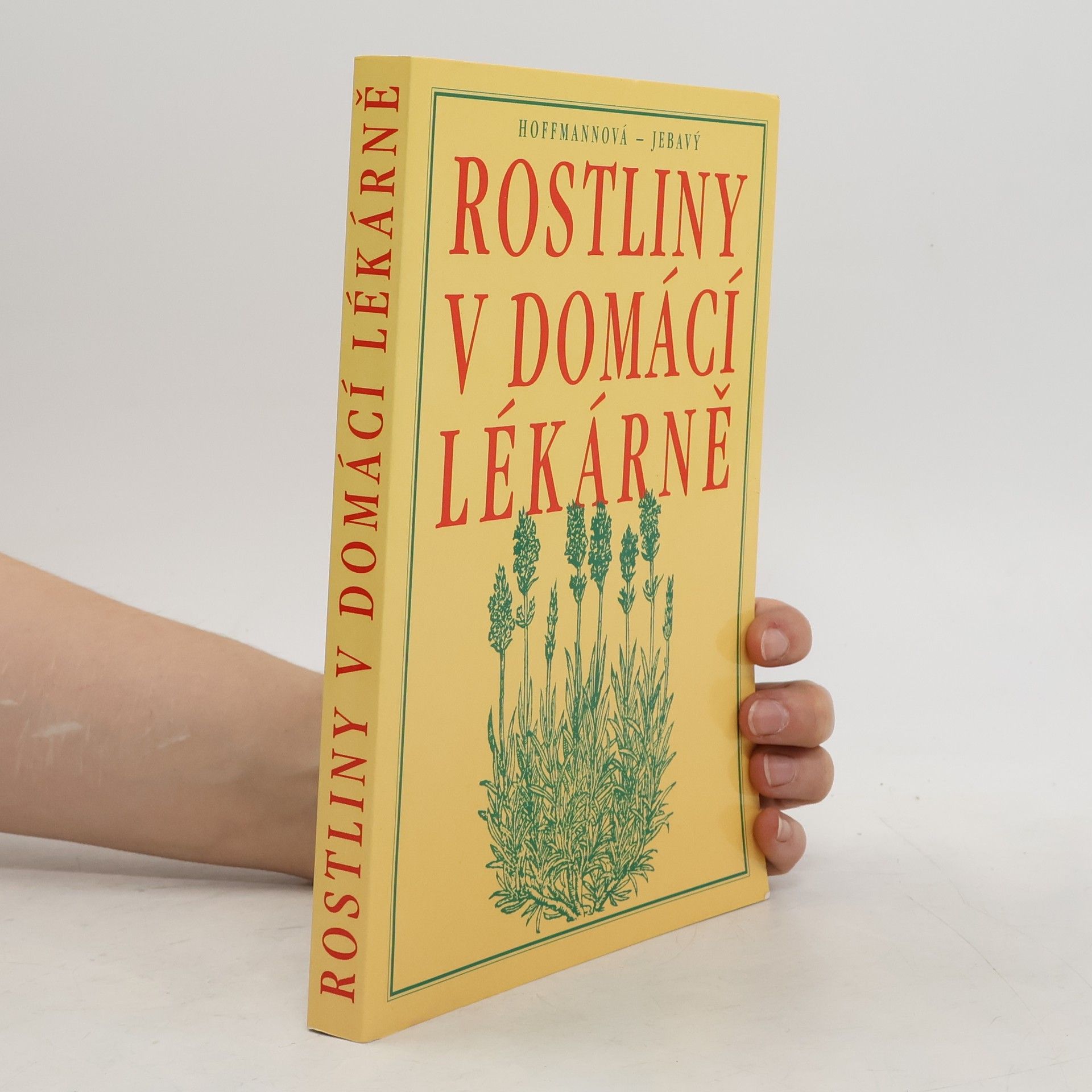 Eva Hoffmannová Rostliny v domácí lékárně