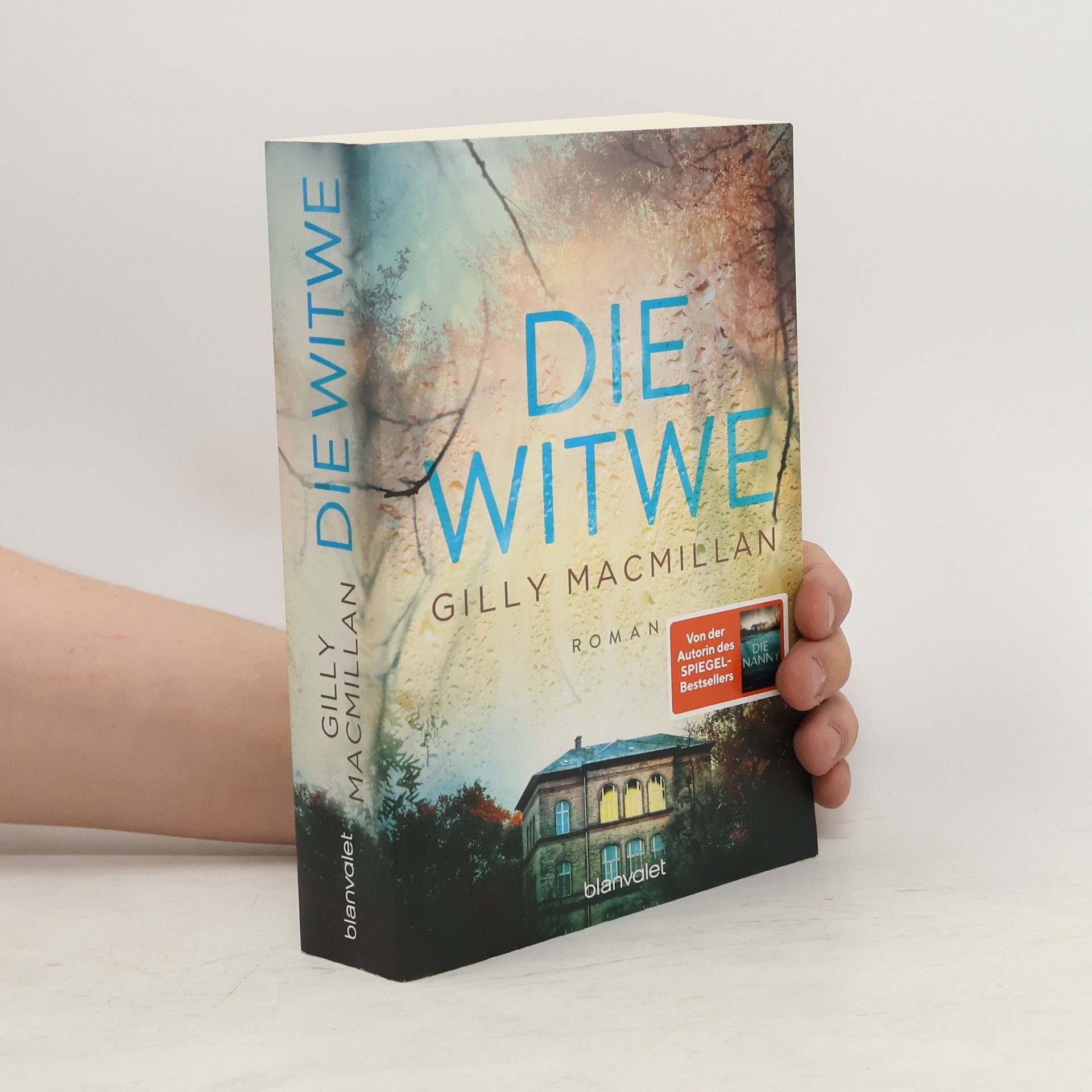 Gilly Macmillan Die Witwe