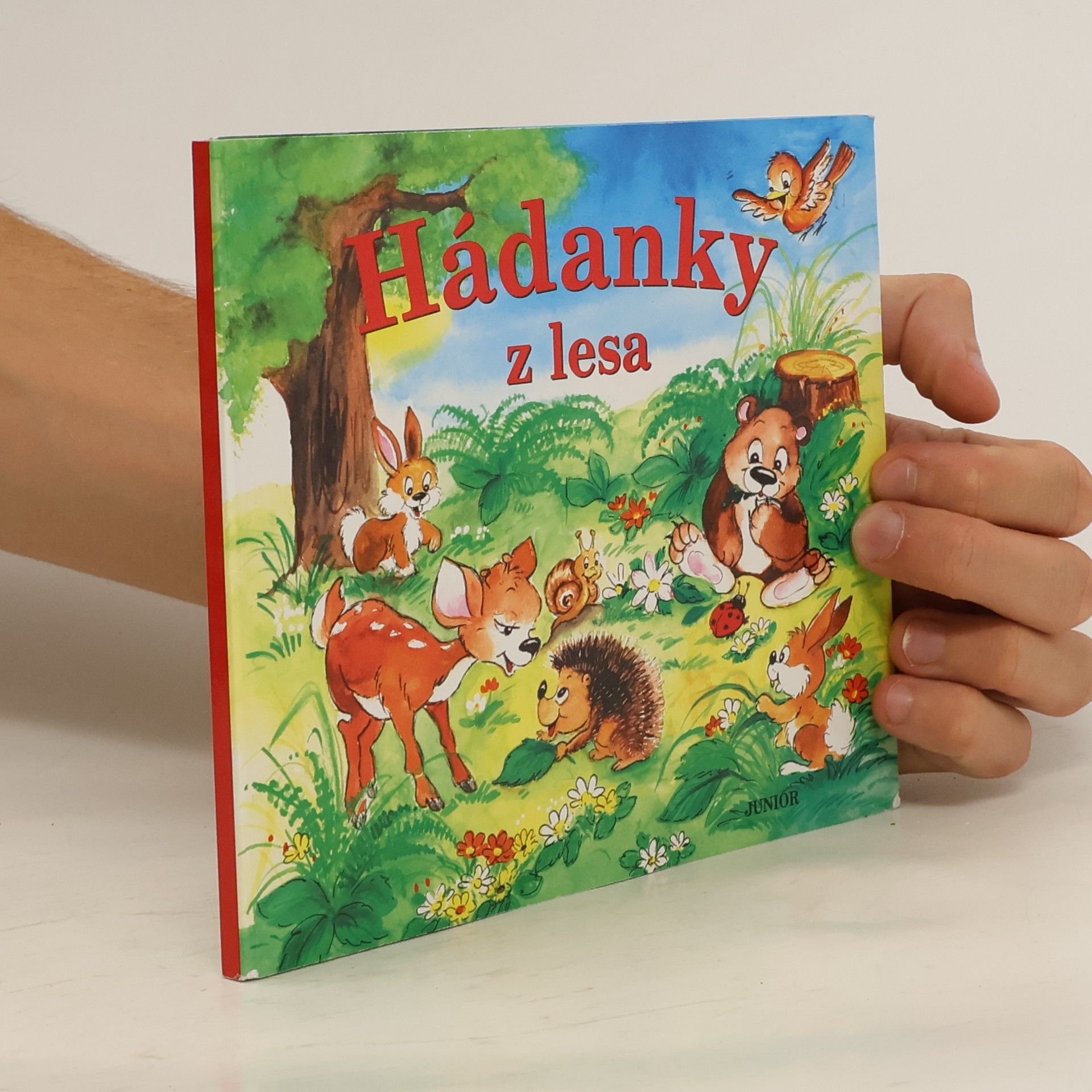 Zuzana Pospíšilová Hádanky z lesa