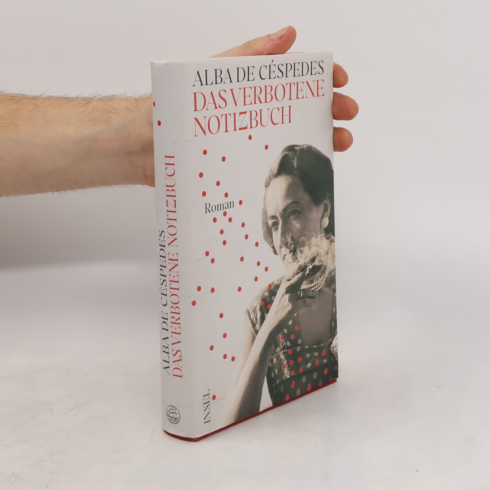 Alba de Céspedes Das verbotene Notizbuch