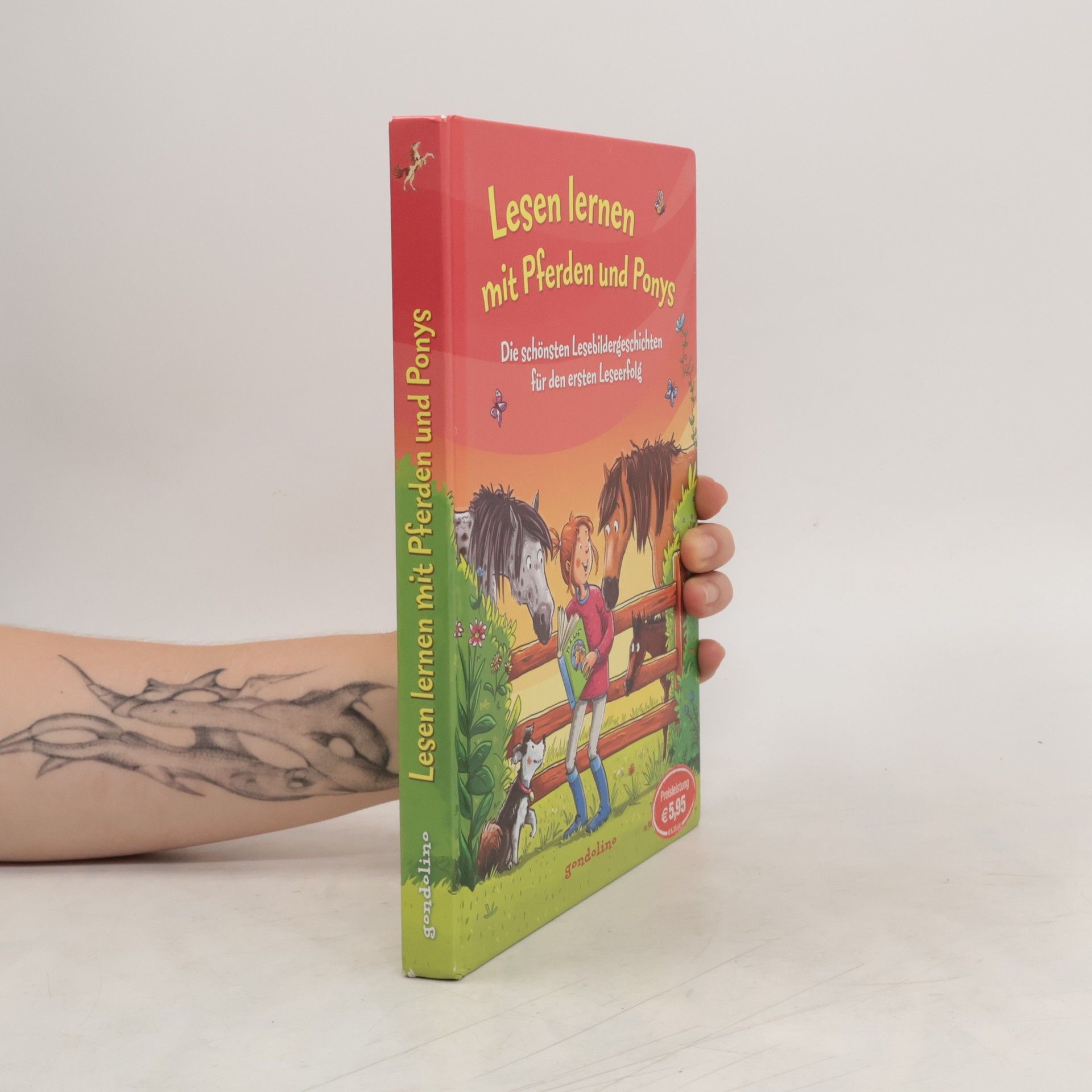 Christine Raudies Lesen lernen mit Pferden und Ponys