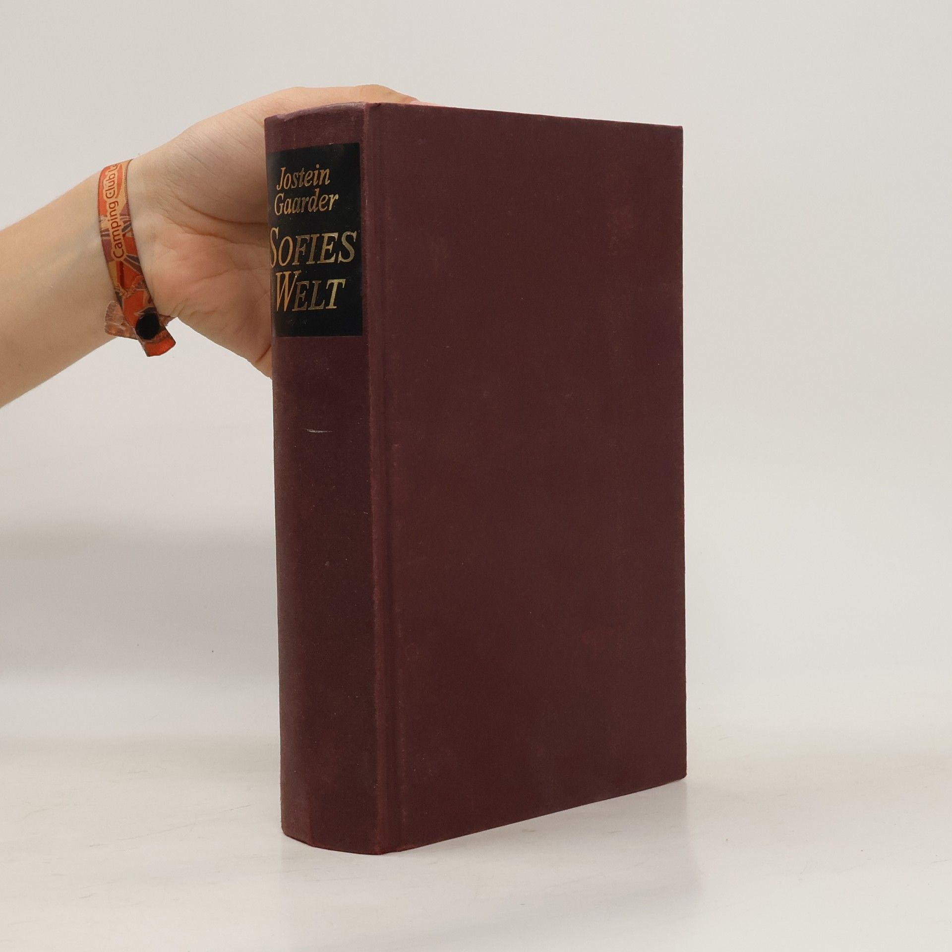 Jostein Gaarder Sofies Welt