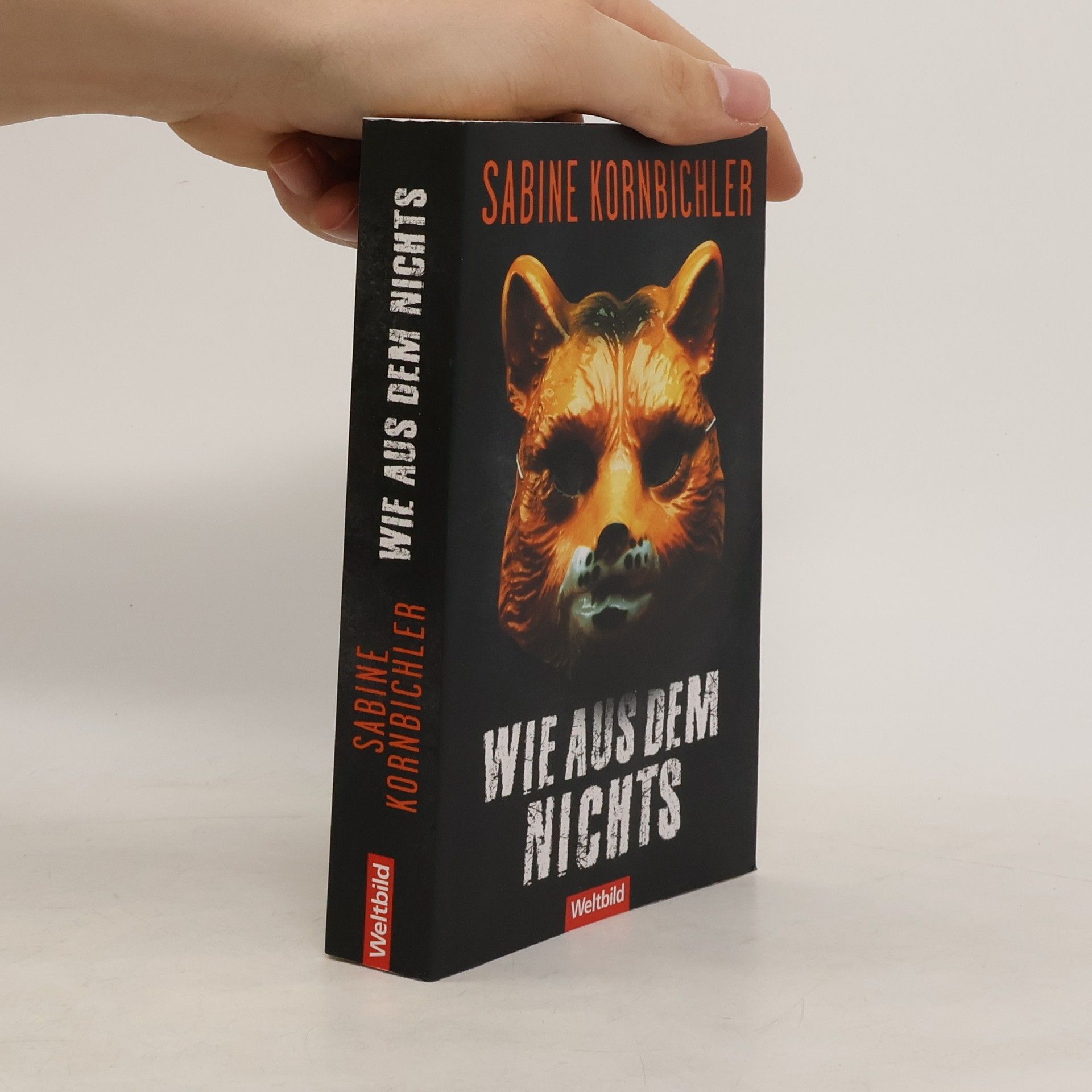 Sabine Kornbichler Wie aus dem Nichts
