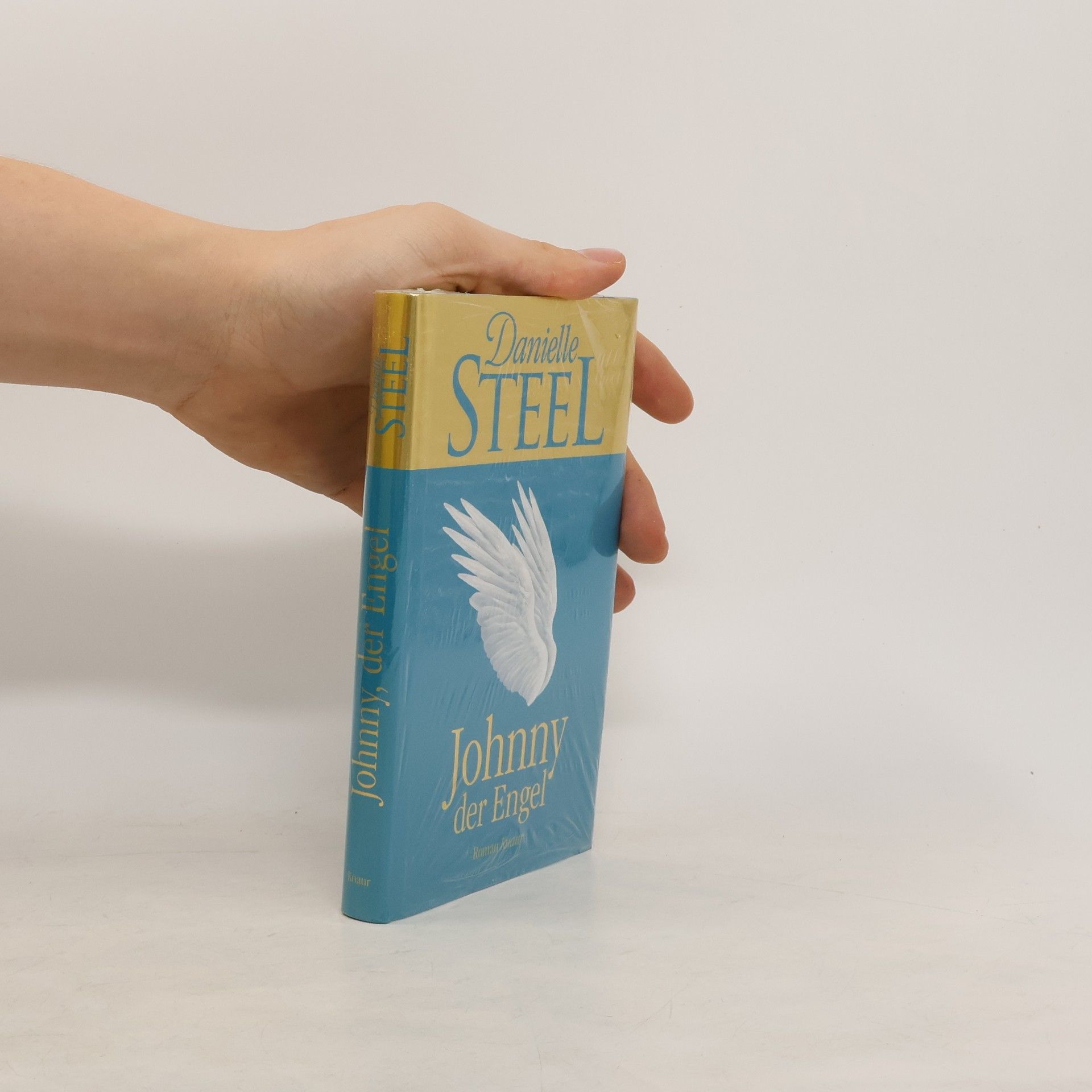 Danielle Steel Johny der Engel