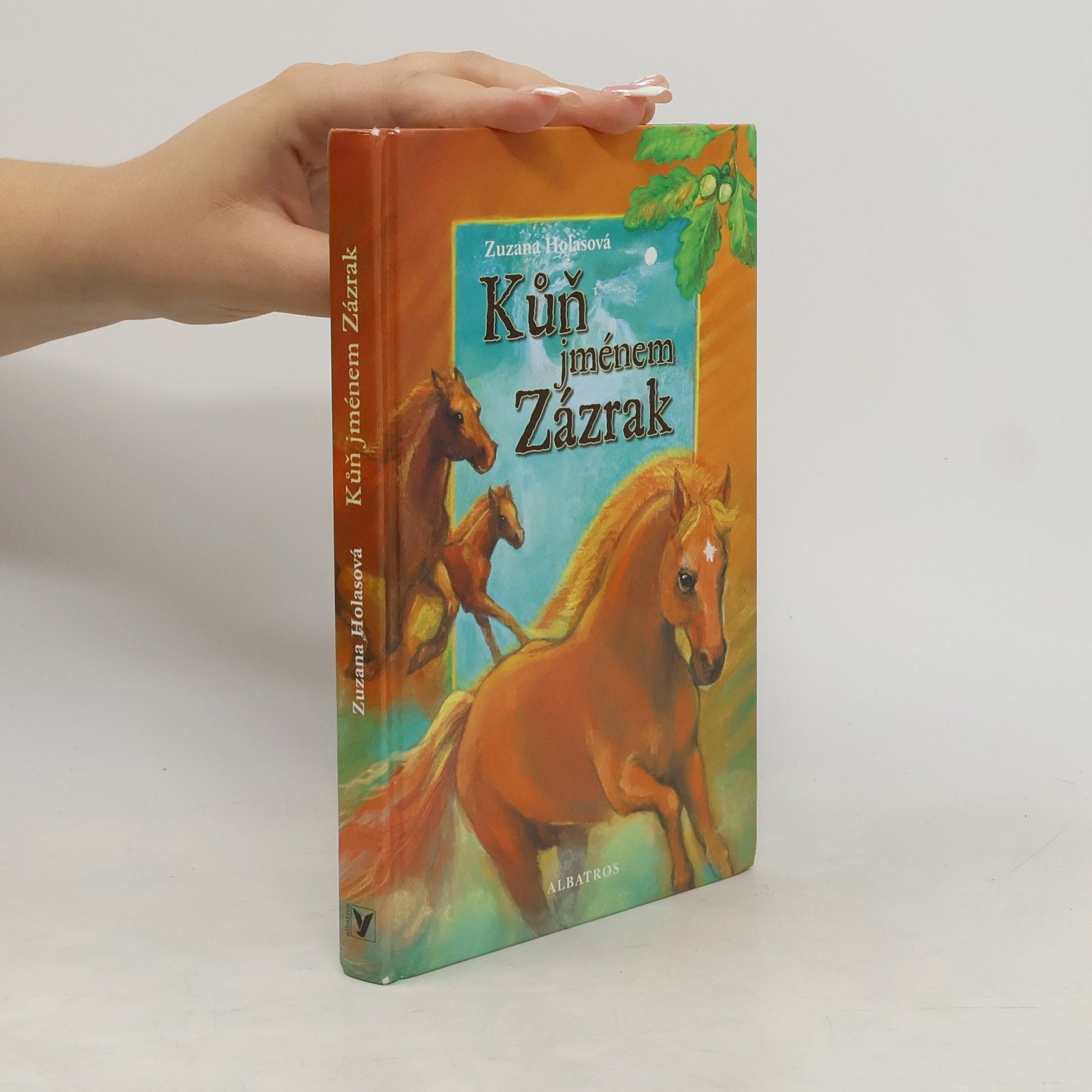 Zuzana Holasova Kůň jménem Zázrak