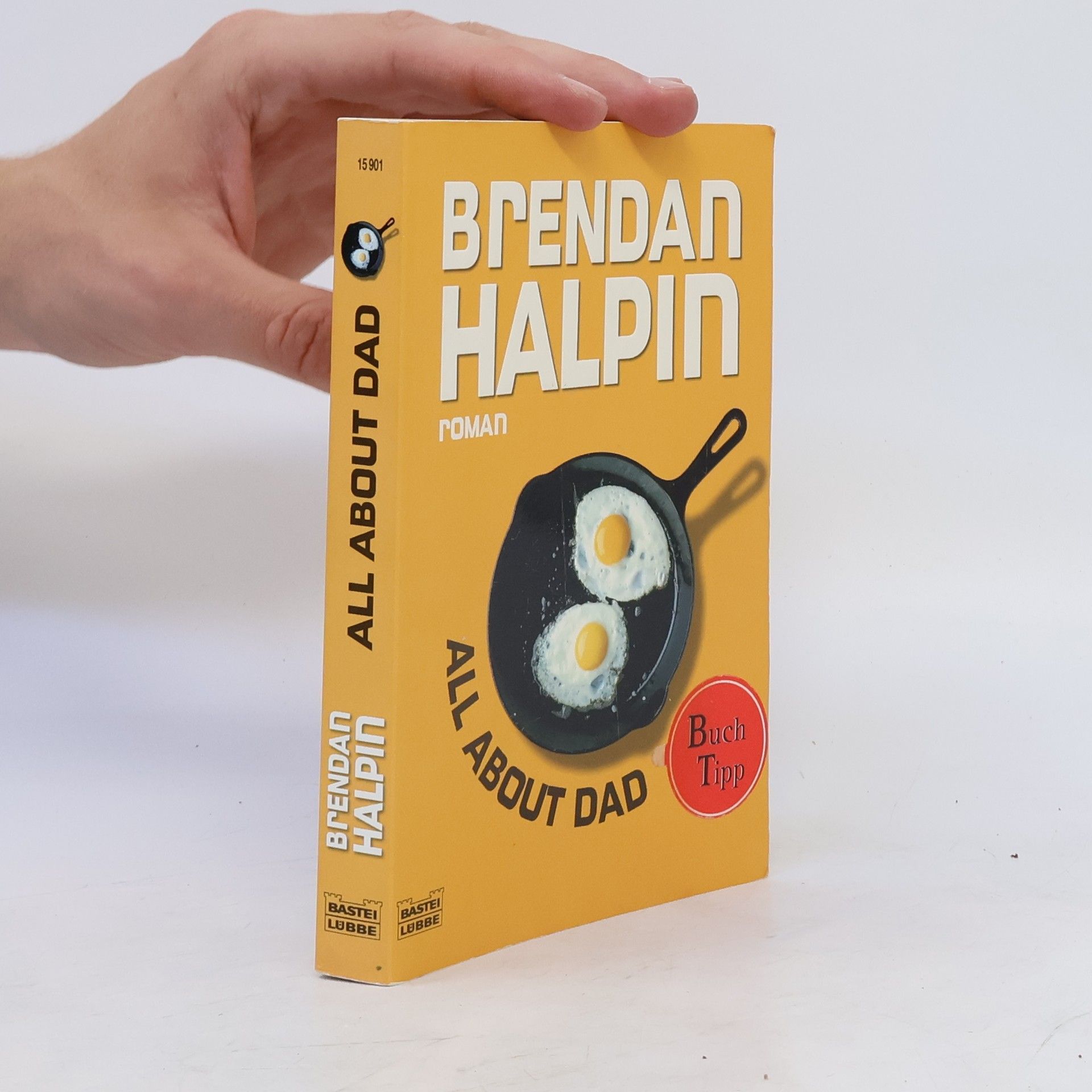 Brendan Halpin All About Dad