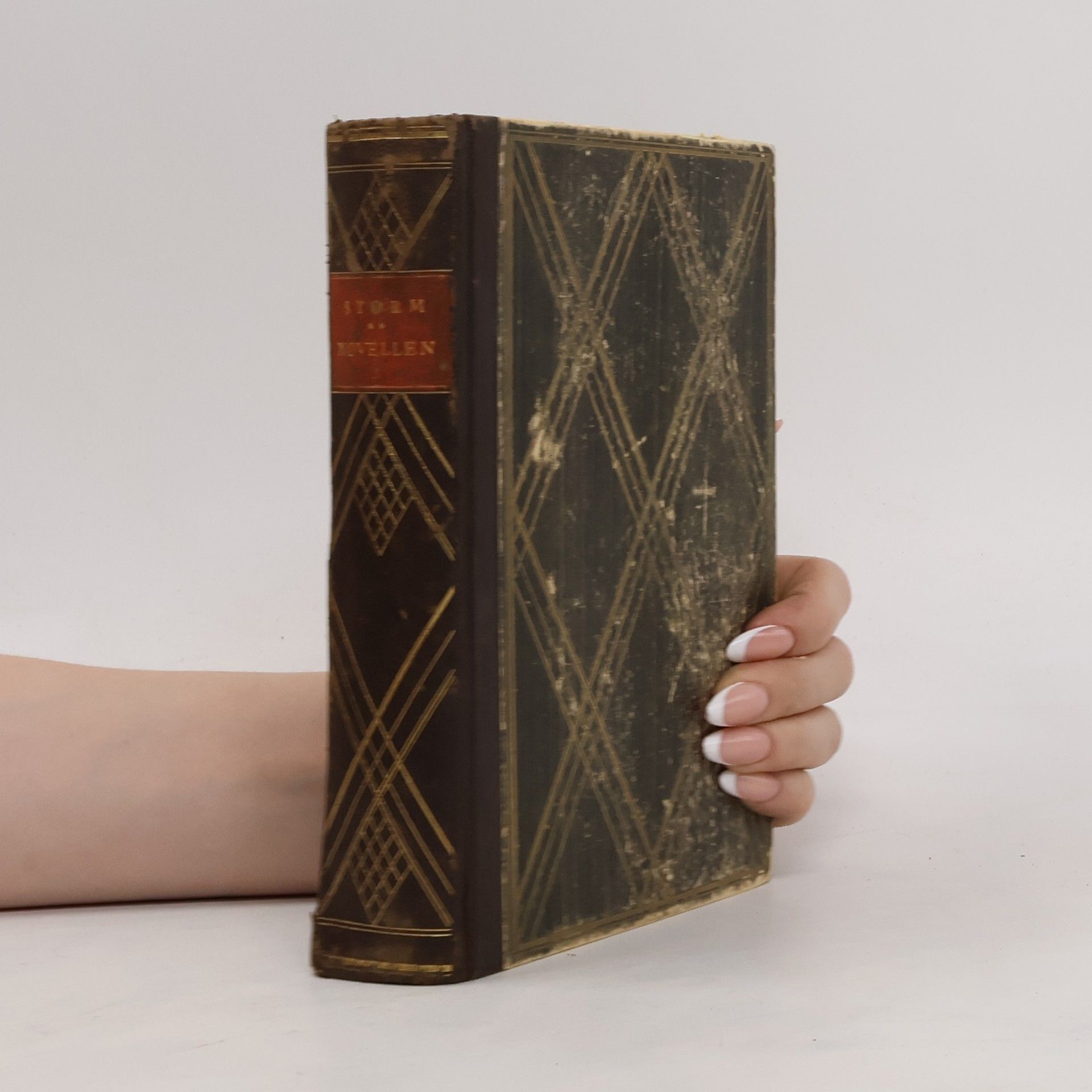 Theodor Storm Zur Chronik von Grieshuus und andere Novellen