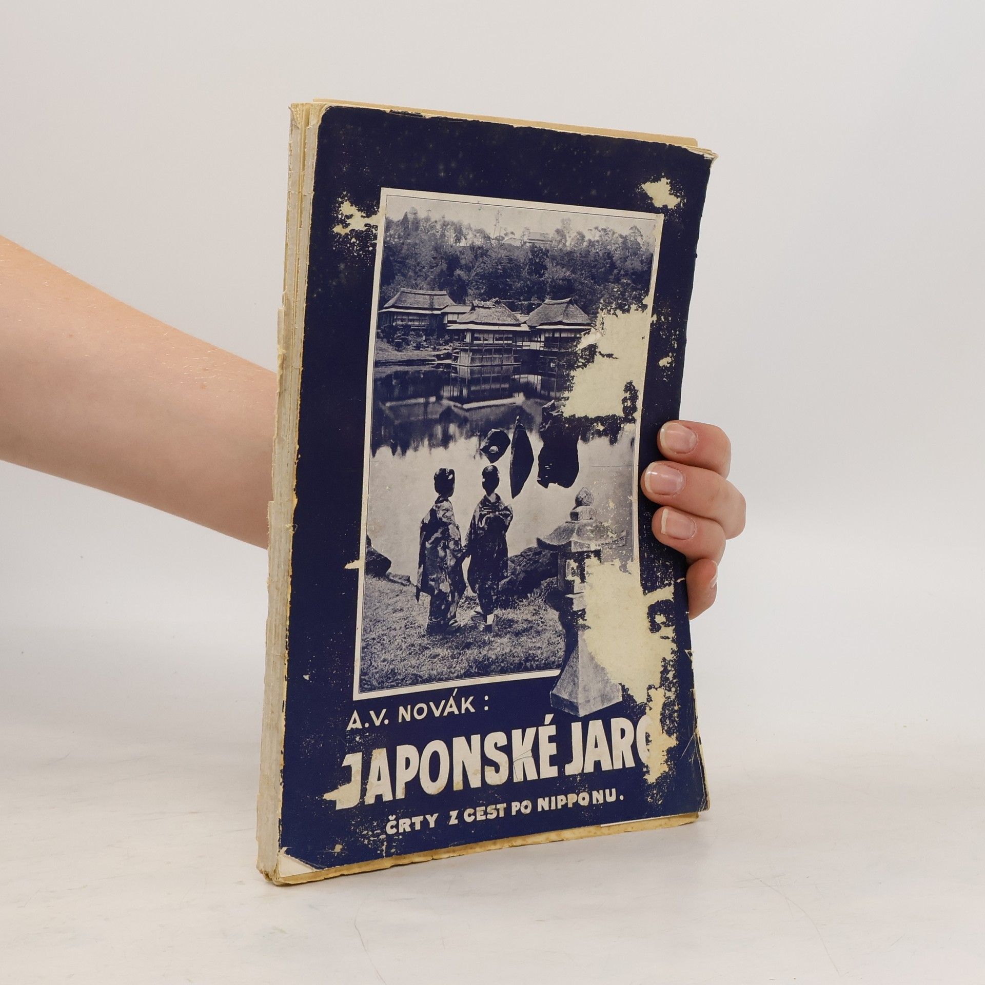 A. V. Novák Japonské jaro