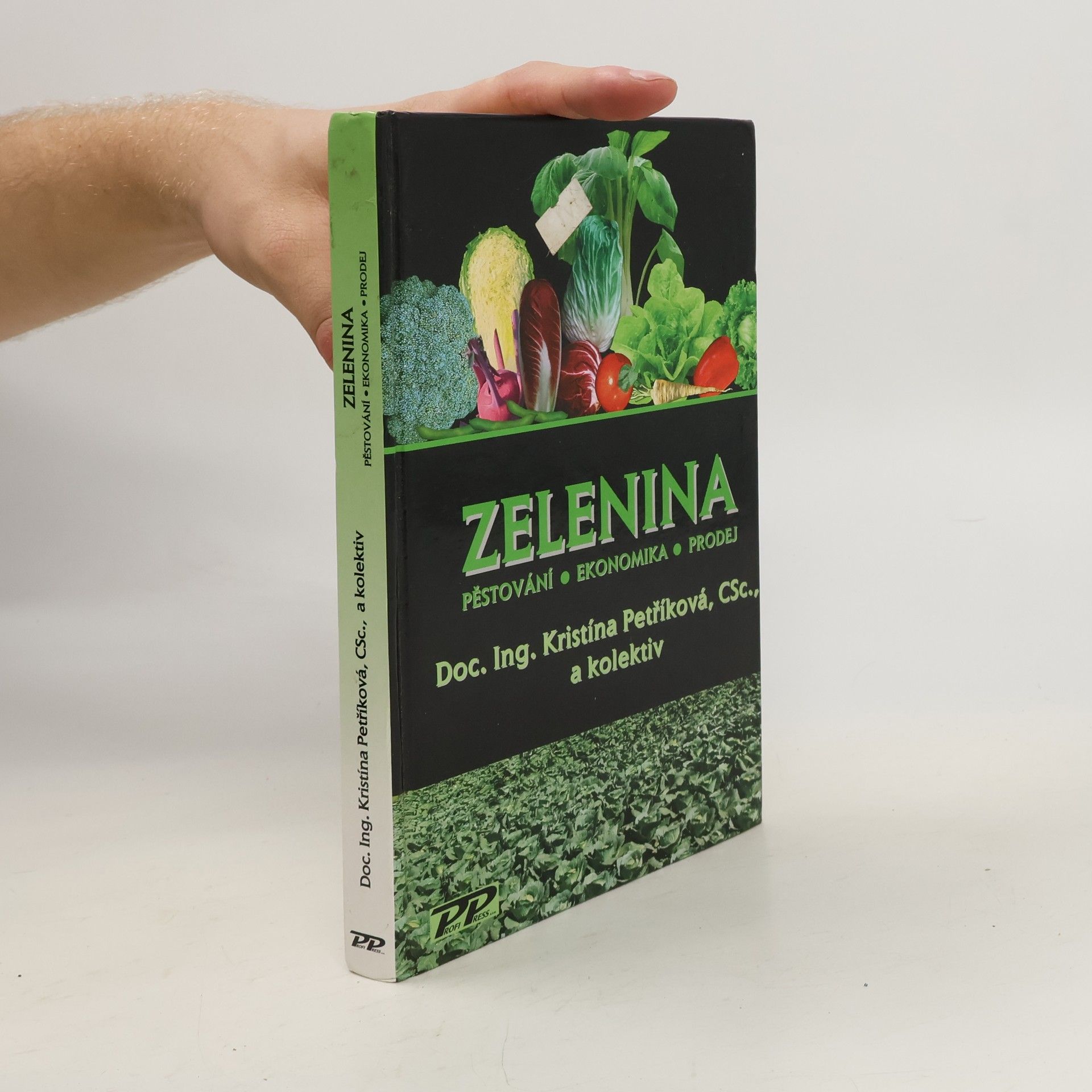 Kristína Petříková Zelenina : pěstování, ekonomika, prodej