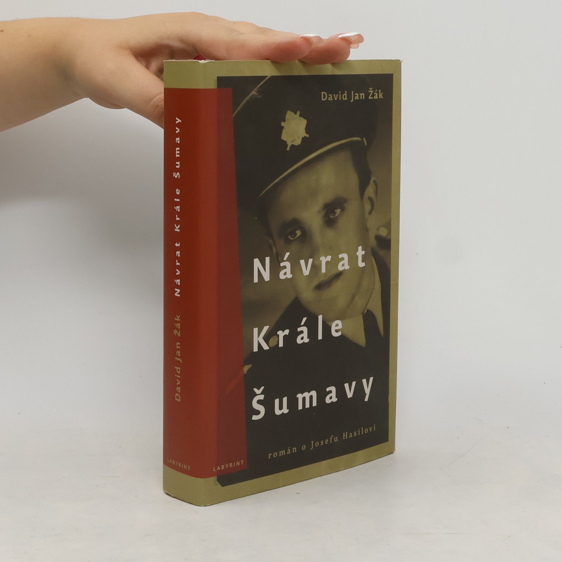 David Jan Žák Návrat Krále Šumavy
