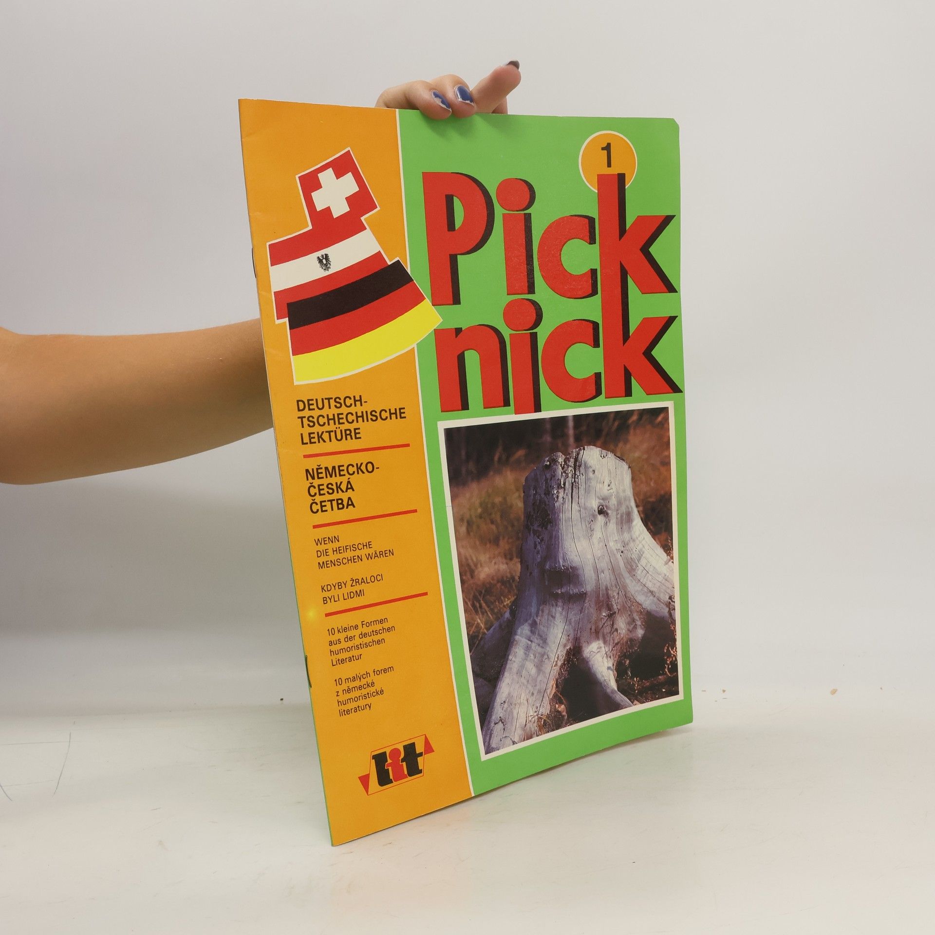 kolektiv Picknick 1: Německo-česká četba