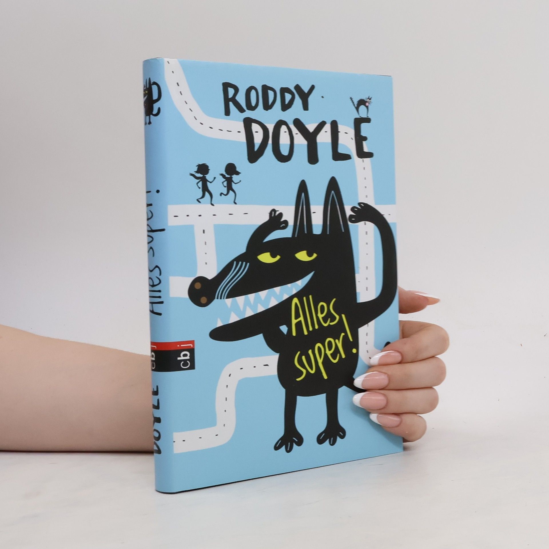 Roddy Doyle Alles super!