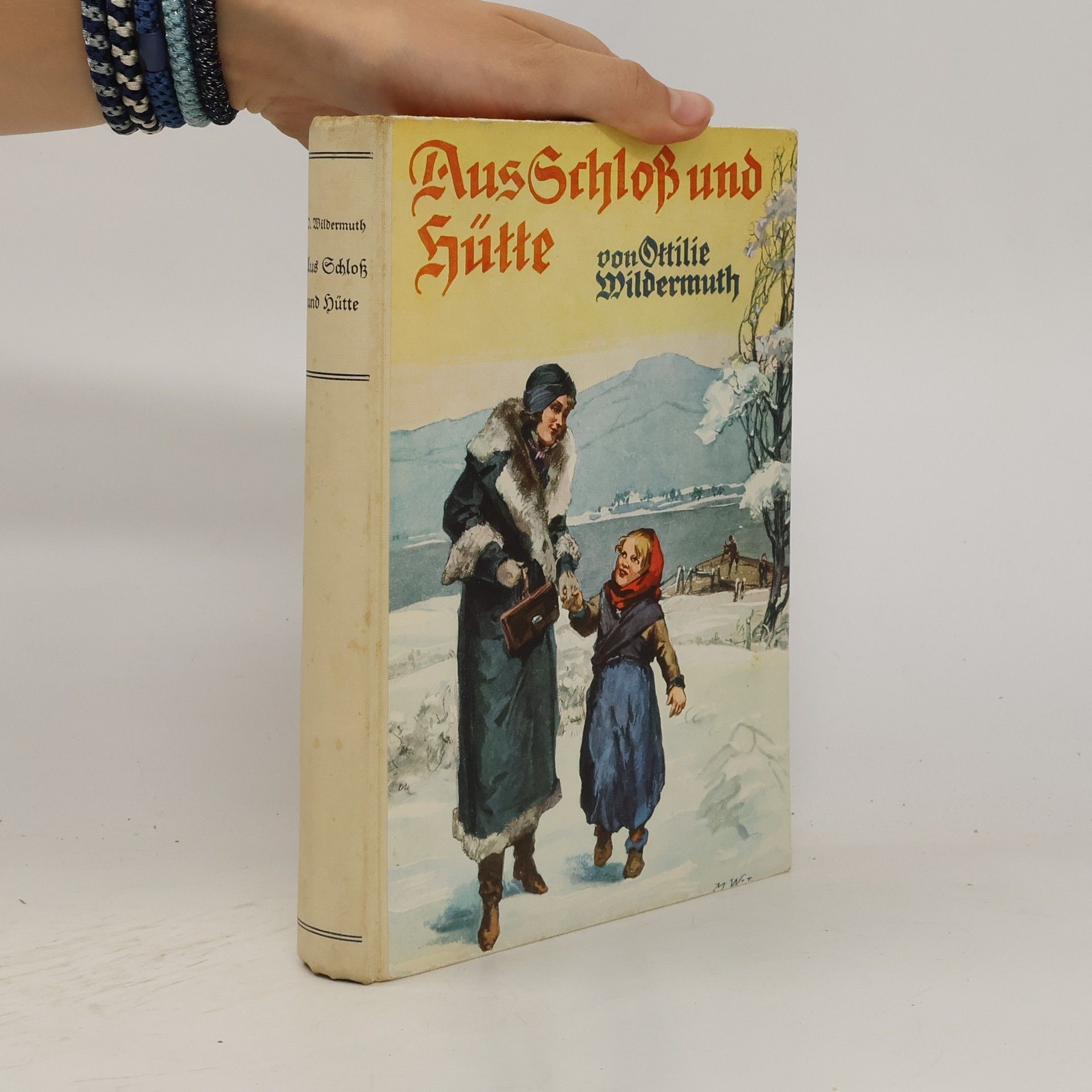 Ottilie Wildermuth Aus Schloß und Hütte