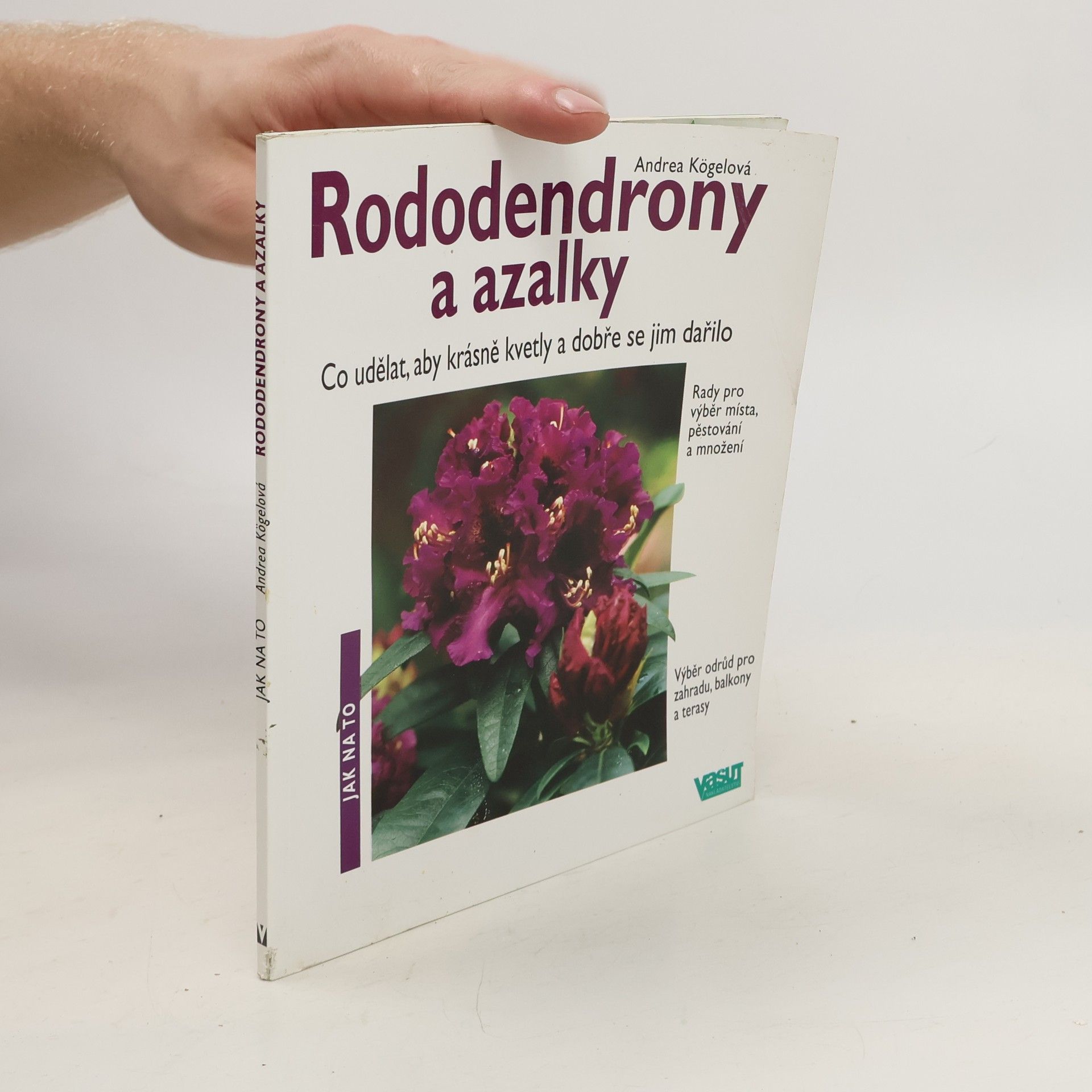Andrea Kögel Rododendrony a azalky
