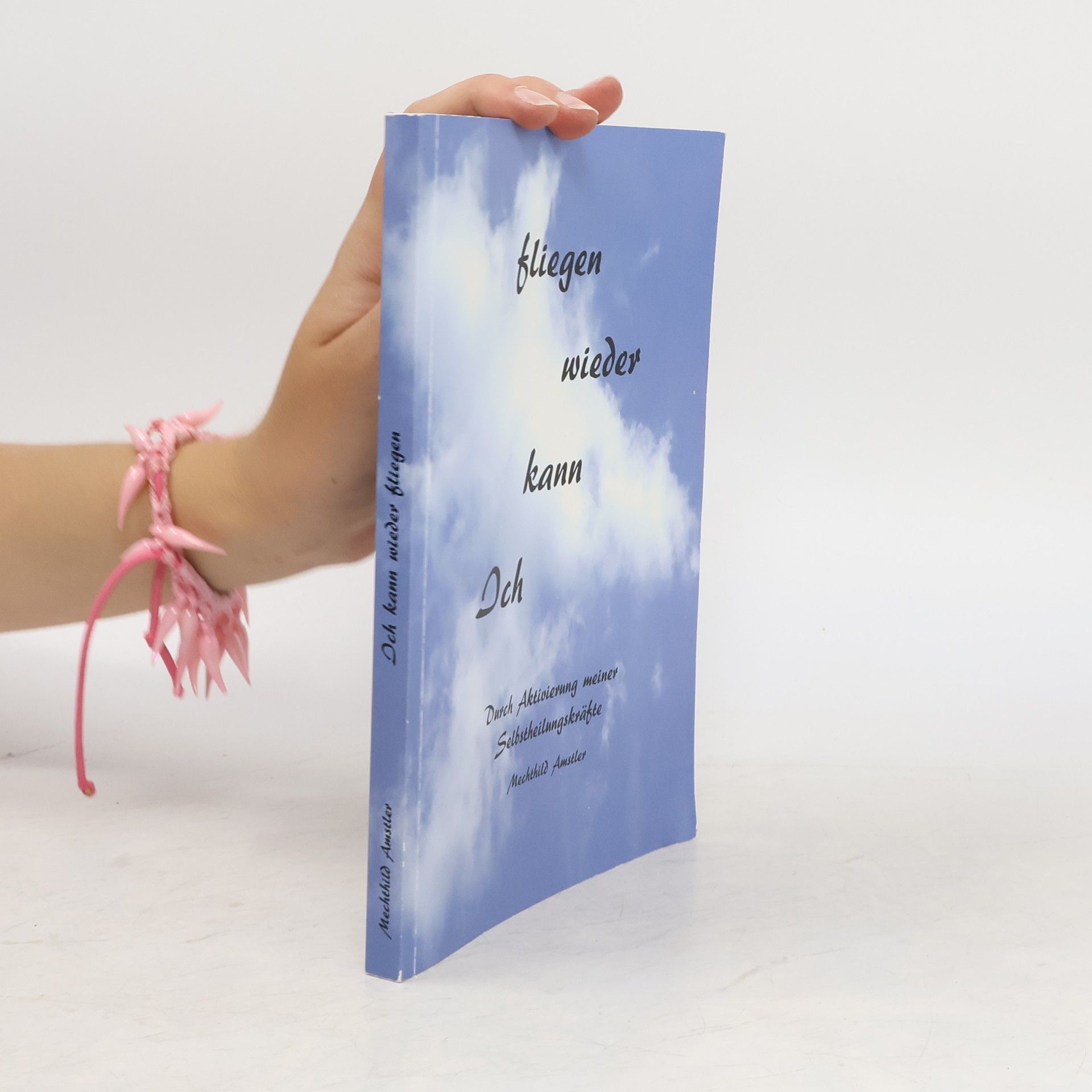 Mechthild Amstler Ich kann wieder fliegen