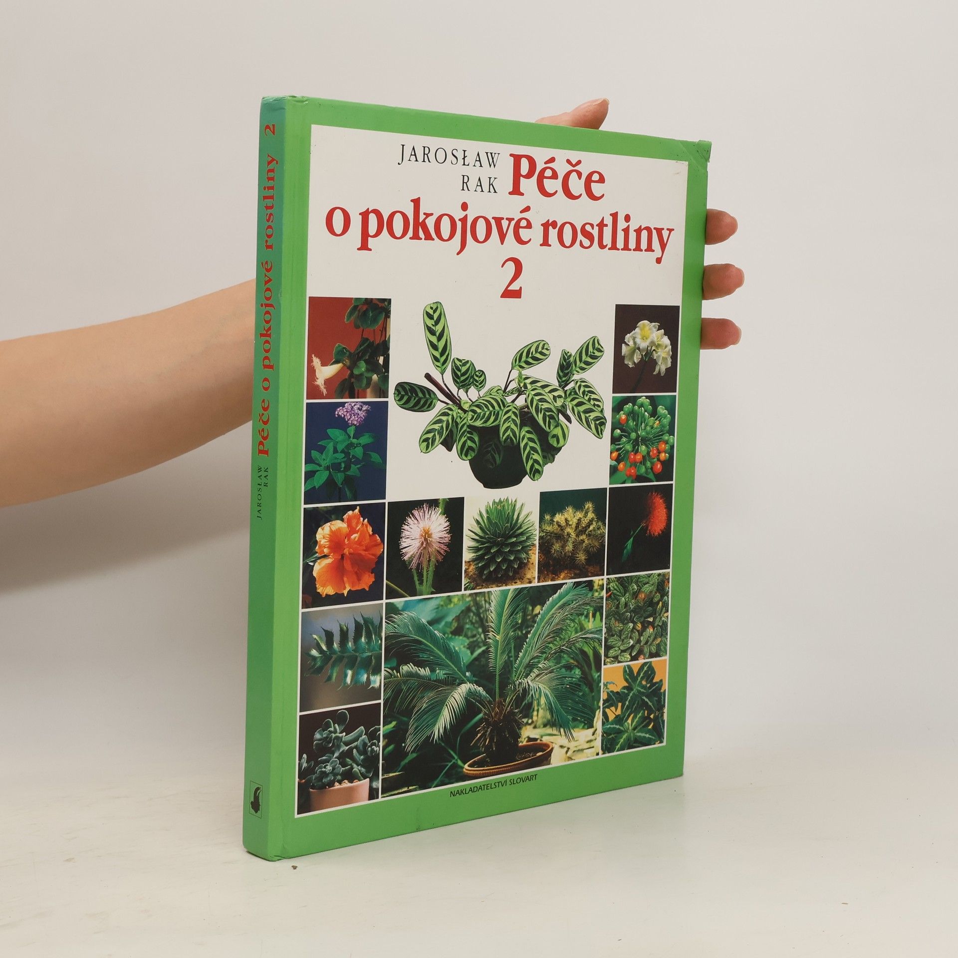Jarosław Rak Péče o pokojové rostliny 2