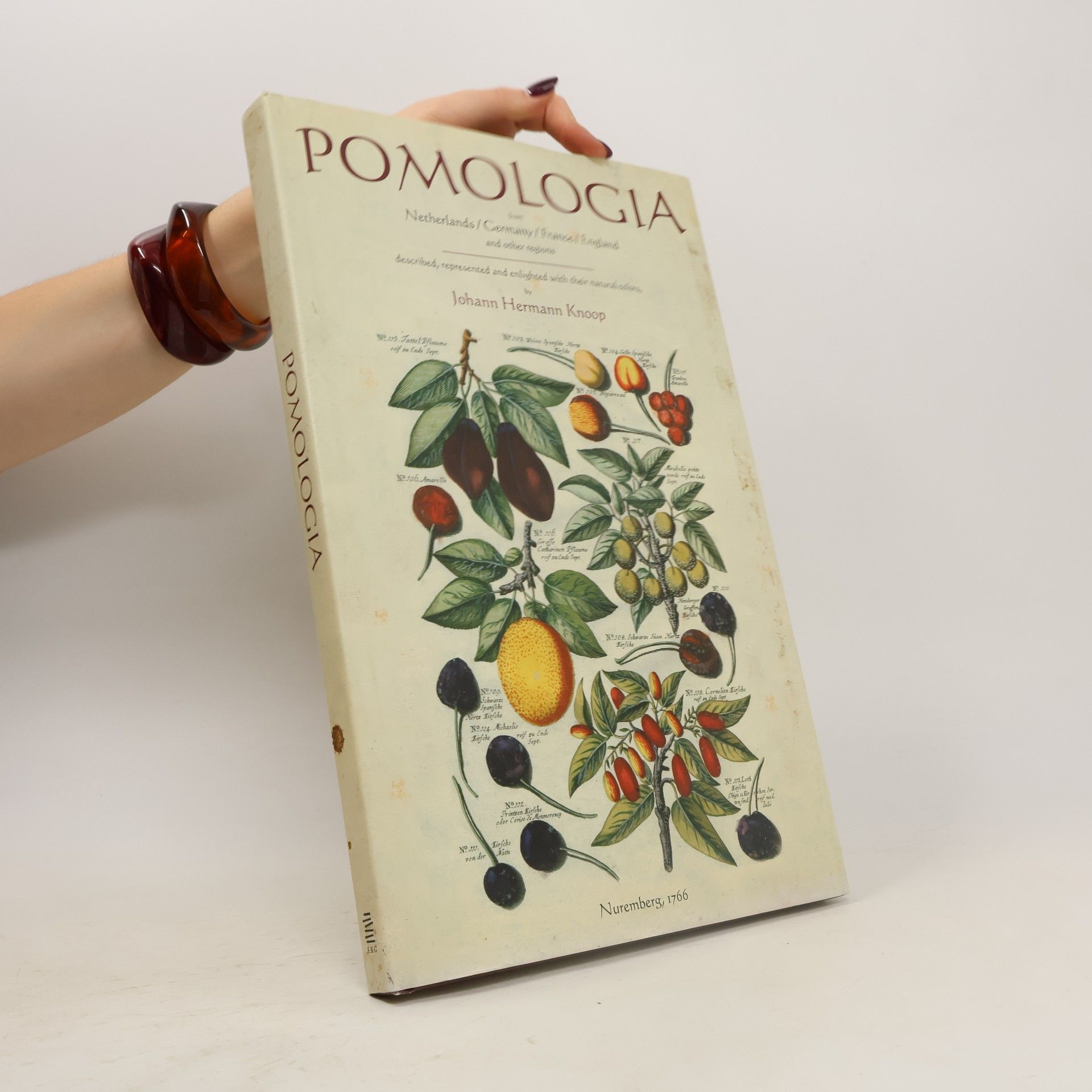 Autorenkollektiv Pomologia