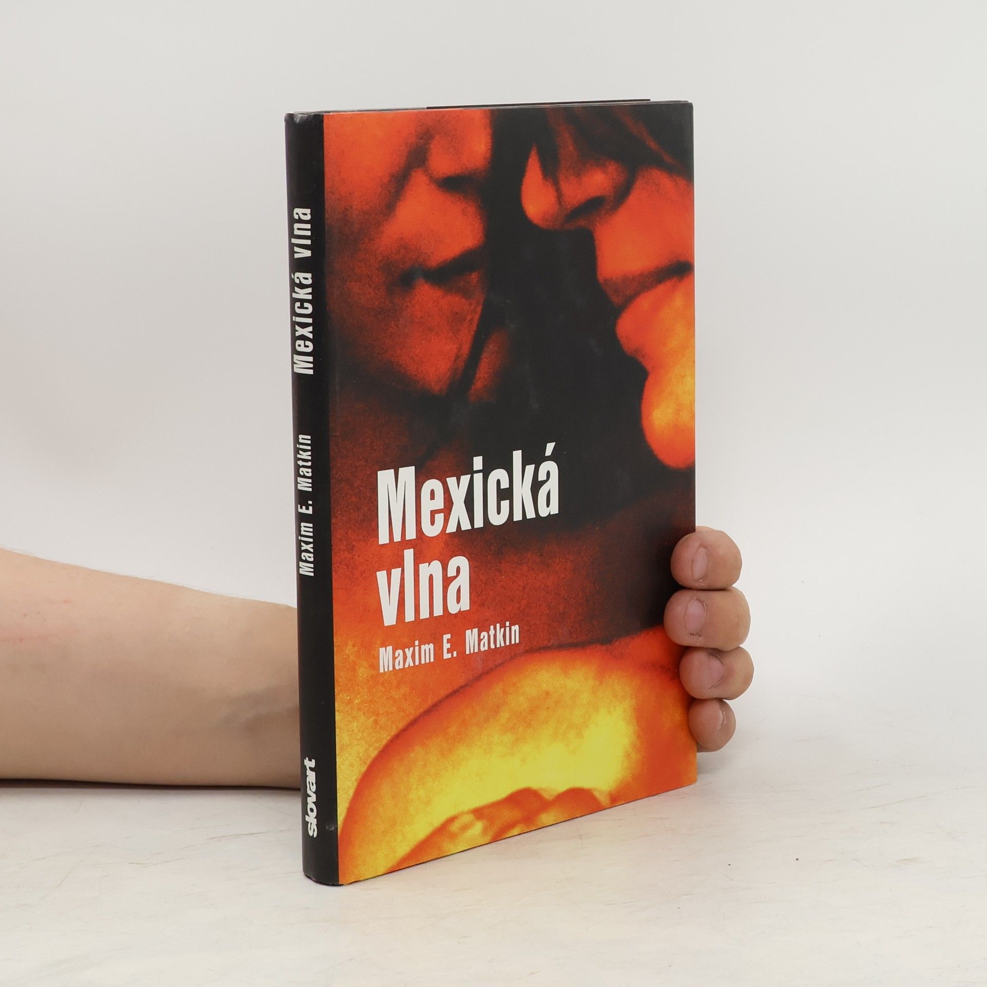 Maxim E. Matkin Mexická vlna