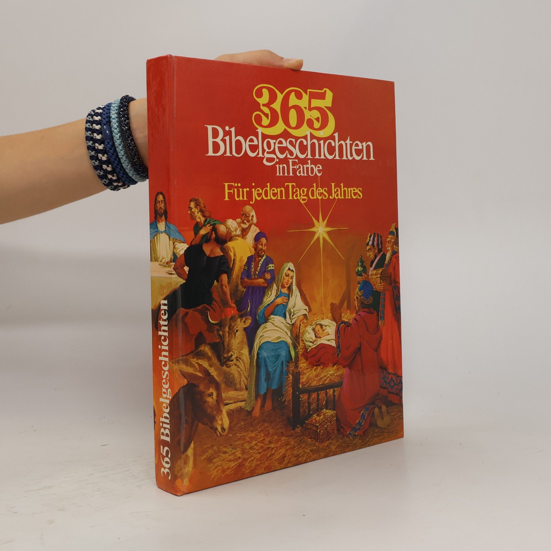 kolektiv 365 Bibelgeschichten in Farbe. Für jeden Tag des Jahres
