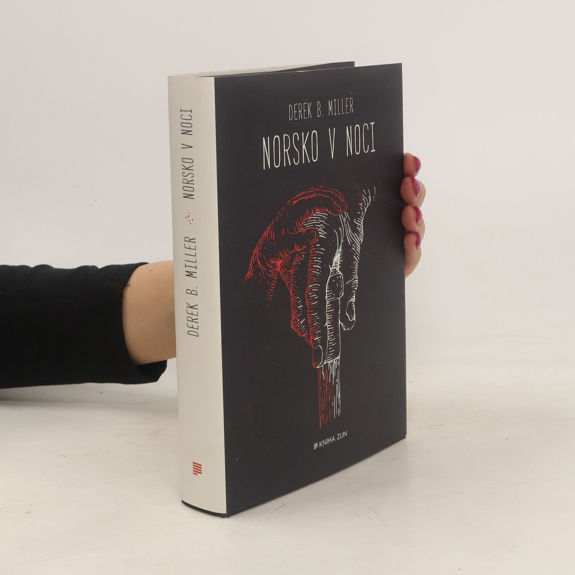 Derek B. Miller Norsko v noci