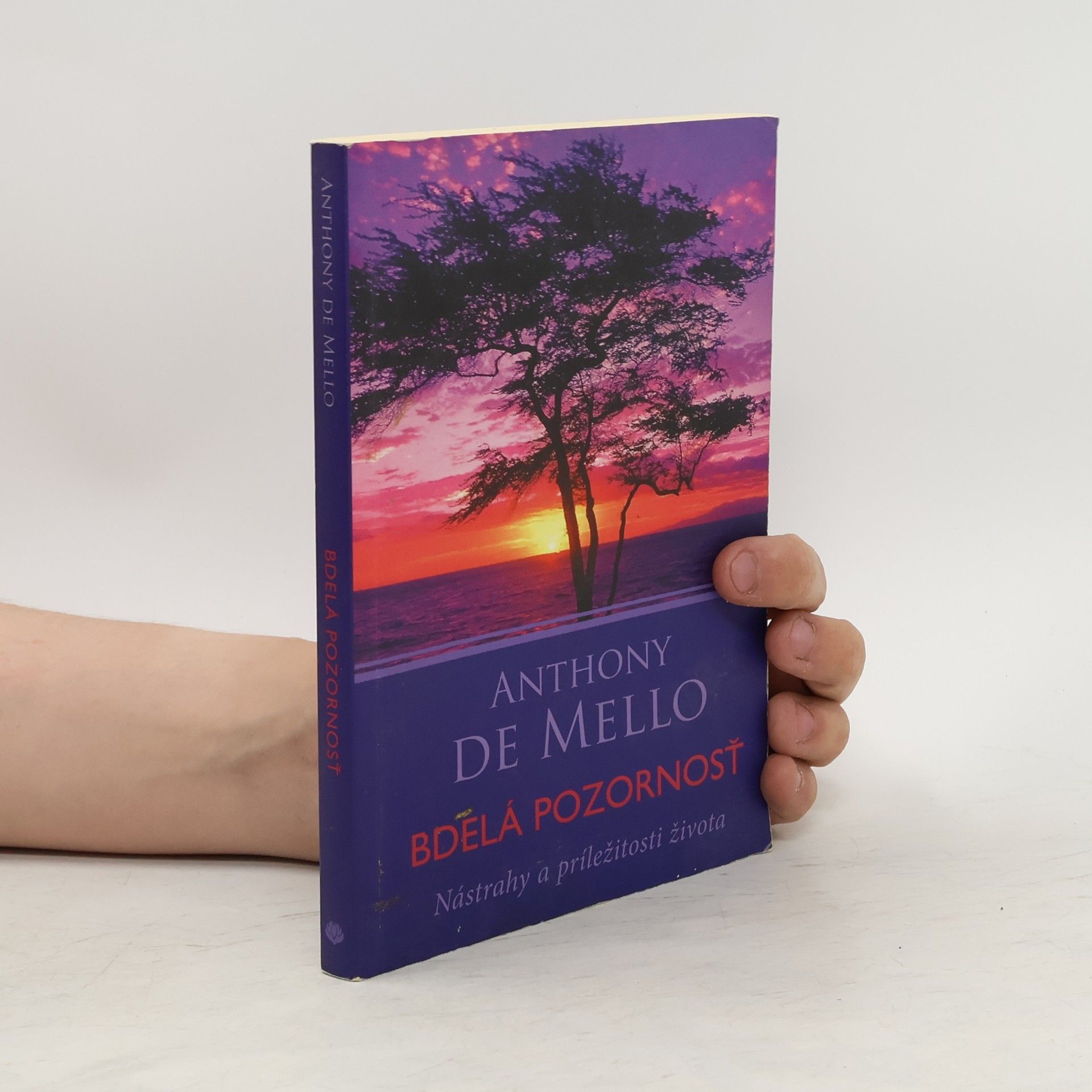 Anthony De Mello Bdelá pozornosť