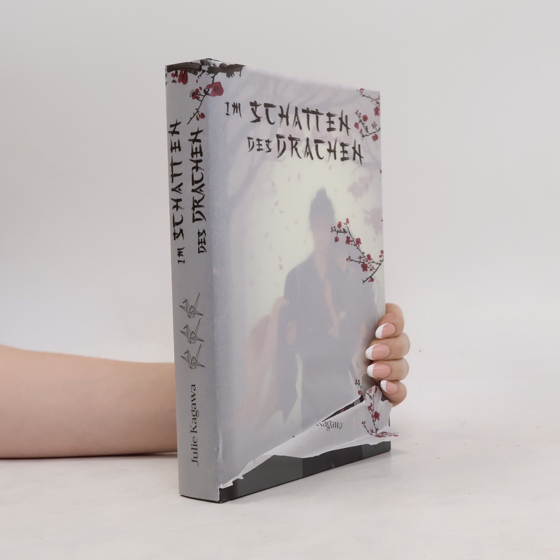 Julie Kagawa Im Schatten des Drachen